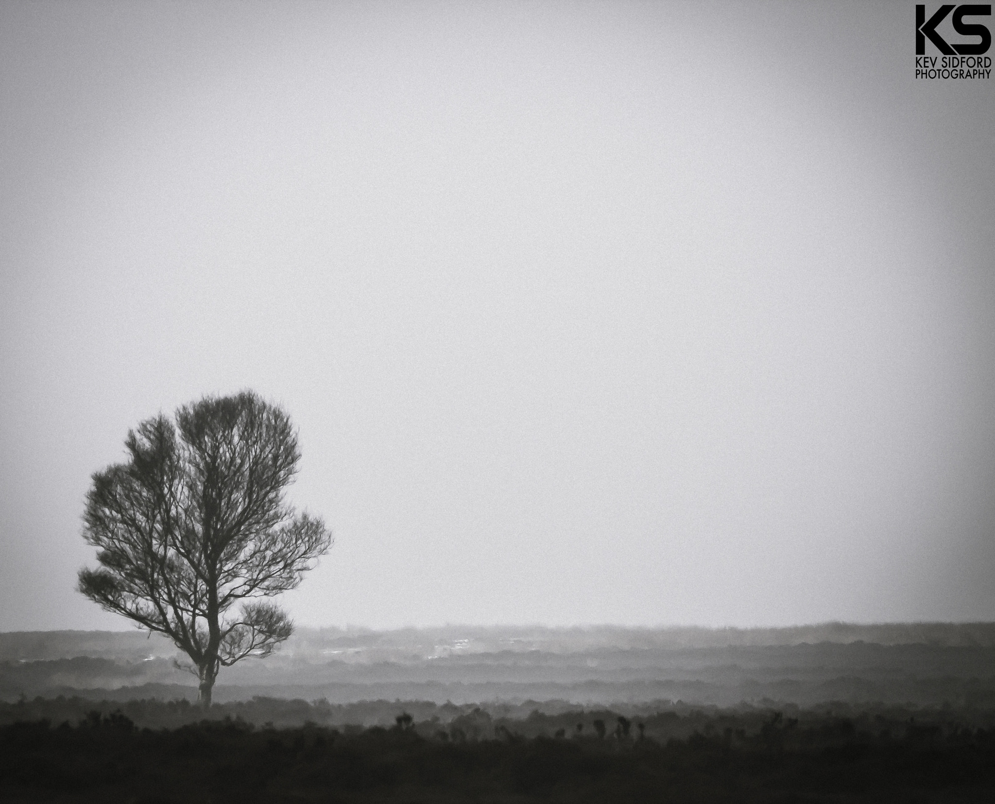 150-600mm F5-6.3 DG OS HSM | Contemporary 015 sample photo. Lonely on beeley photography