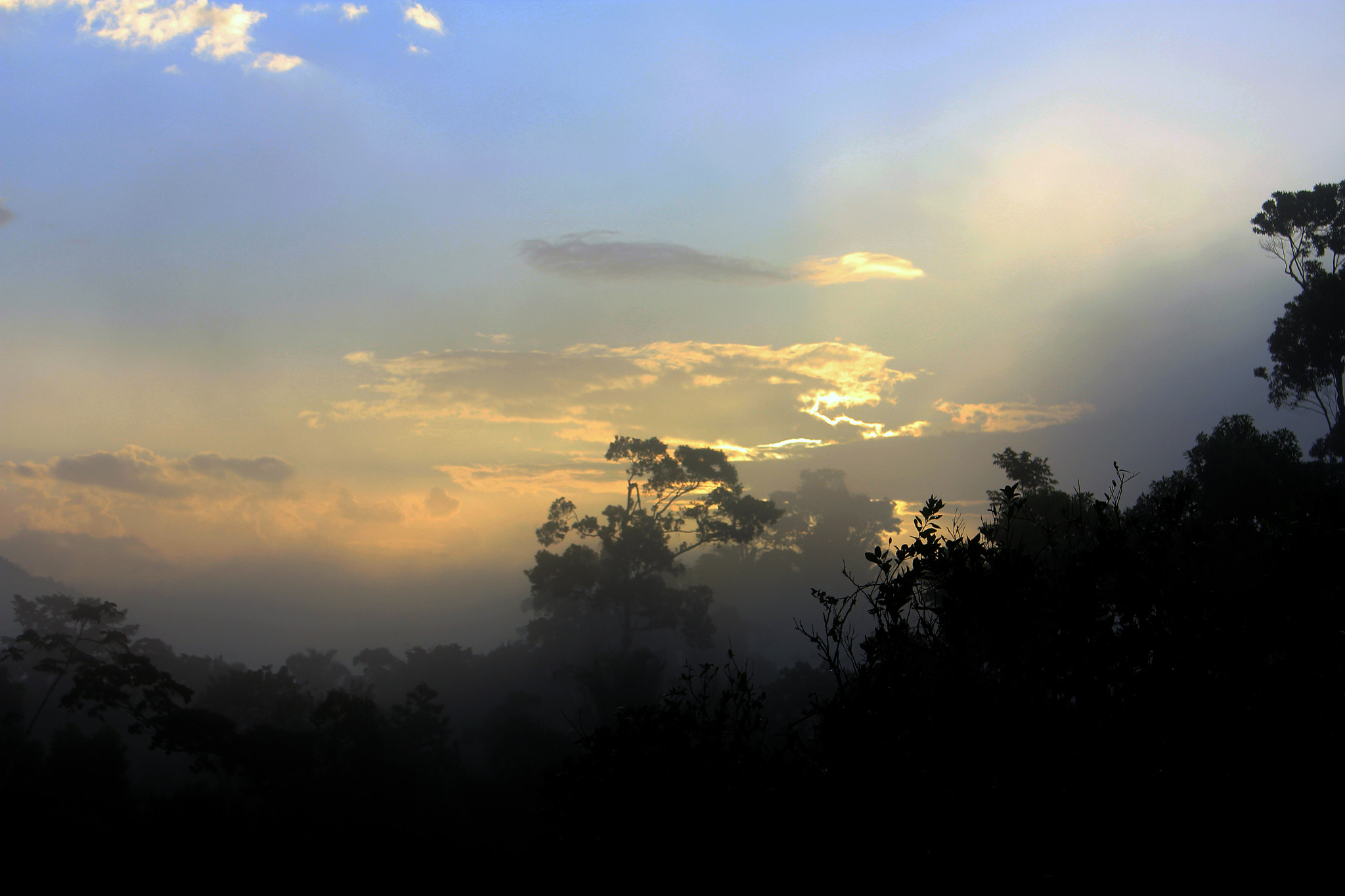 Canon EOS 550D (EOS Rebel T2i / EOS Kiss X4) sample photo. The havens photography