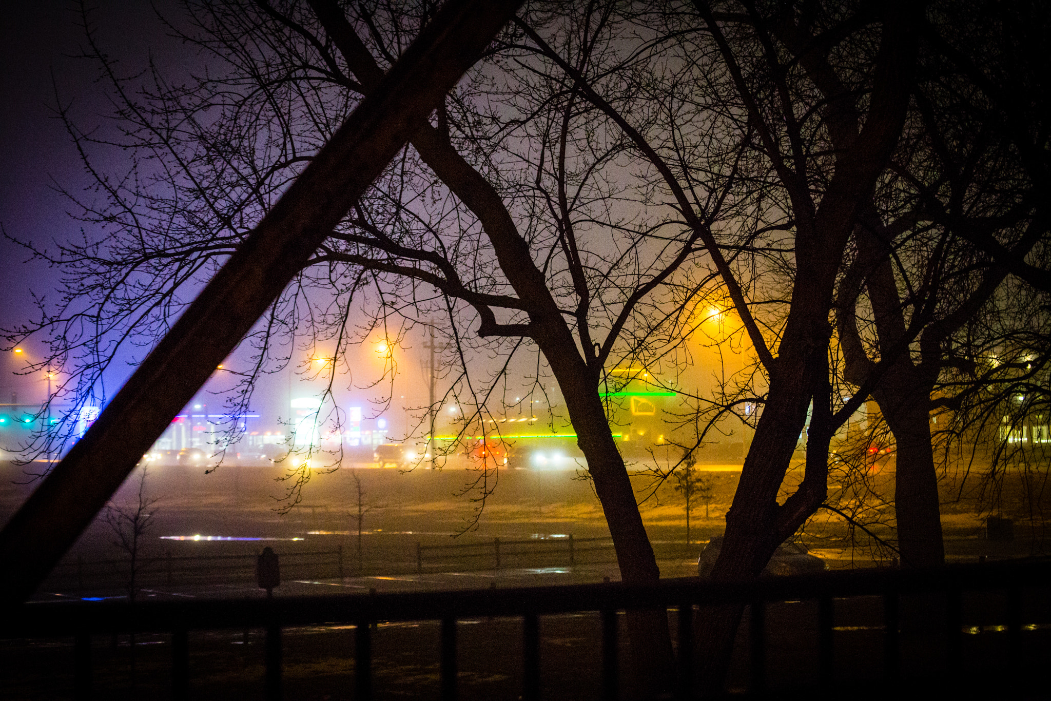 Canon EOS 6D sample photo. Neon in the fog photography