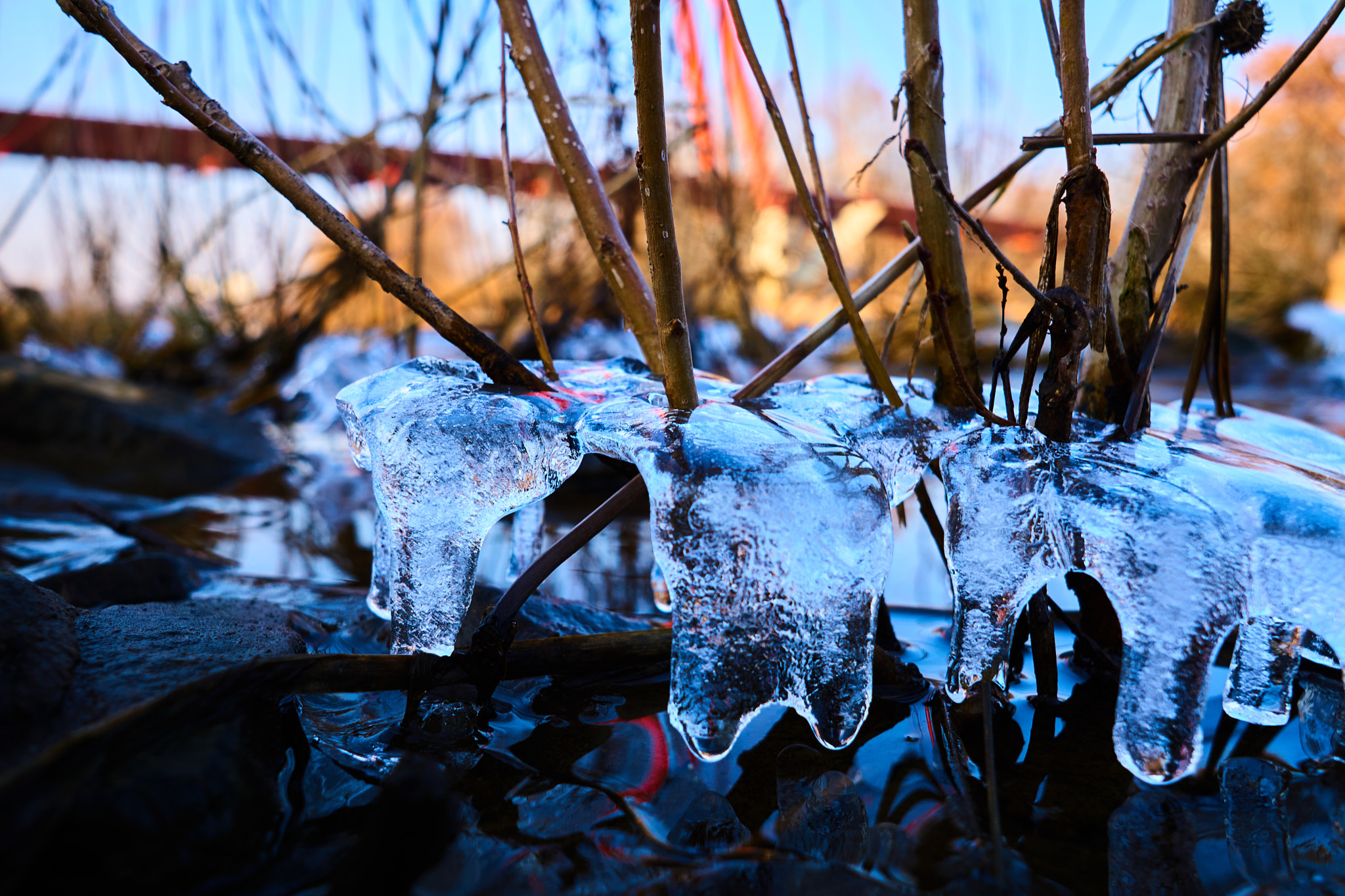 Sigma 19mm F2.8 EX DN sample photo. Ice photography