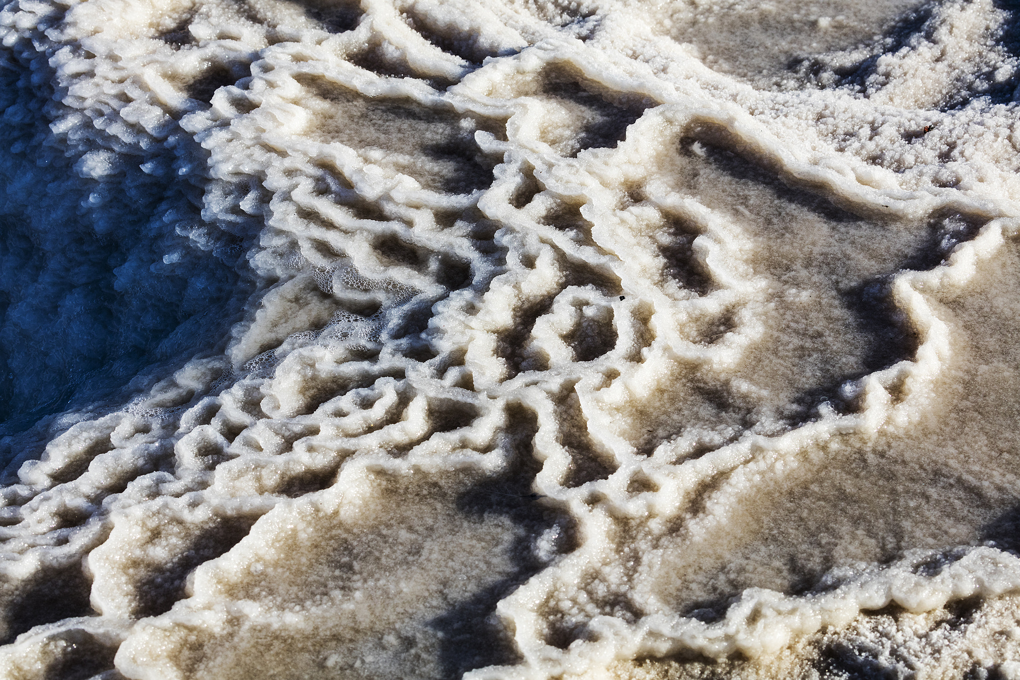 Canon EOS 5DS sample photo. Salt patterns photography