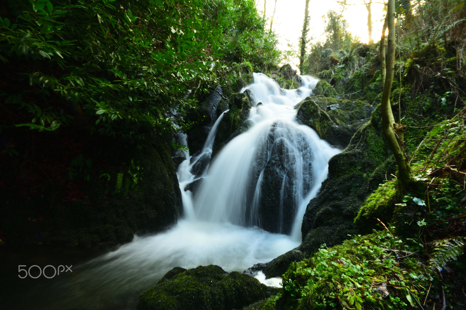Sigma 10-20mm F4-5.6 EX DC HSM sample photo. Crawfordsburn waterfall photography