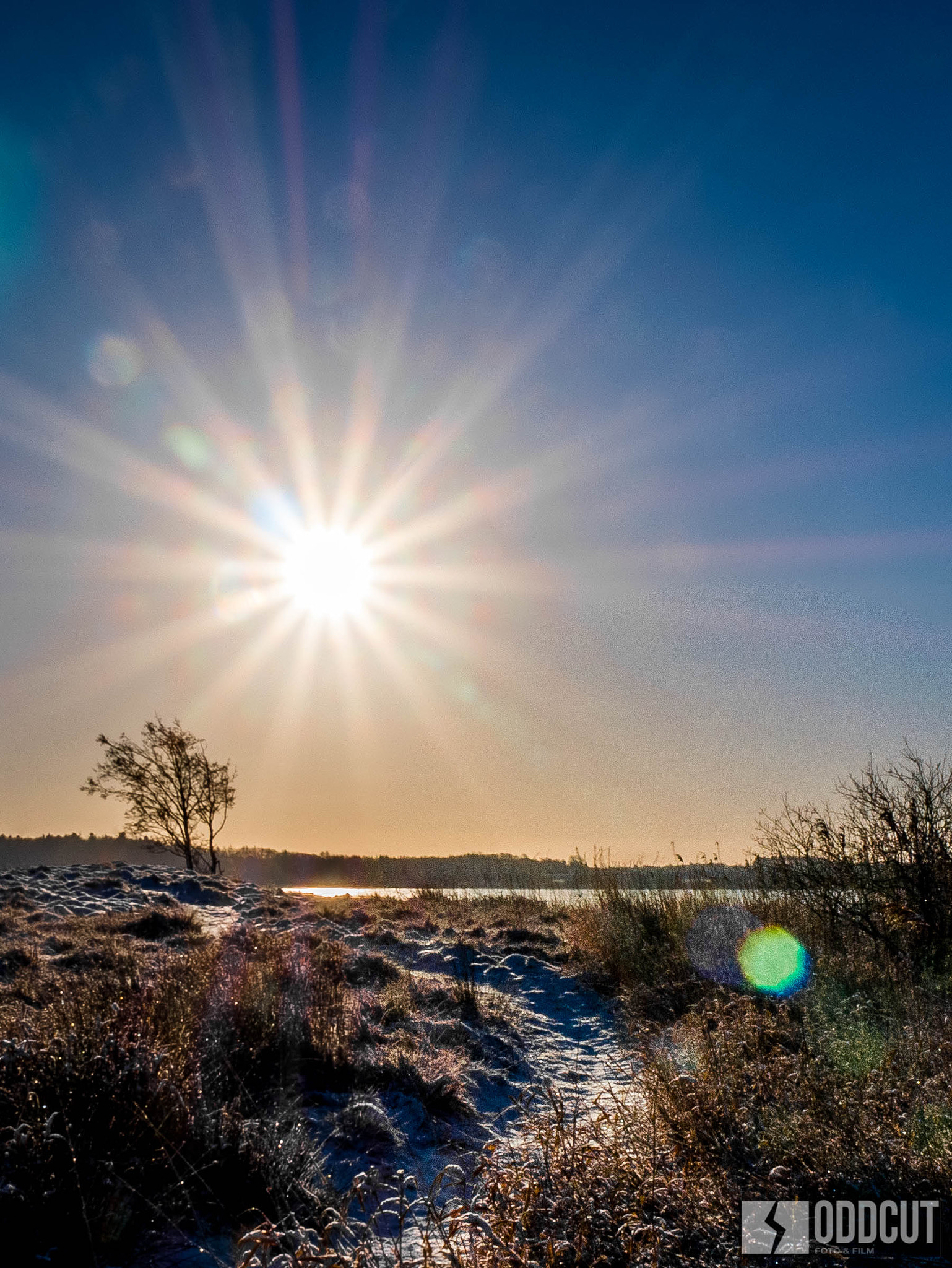 Panasonic Lumix DMC-G7 sample photo. Wintertime in denmark photography