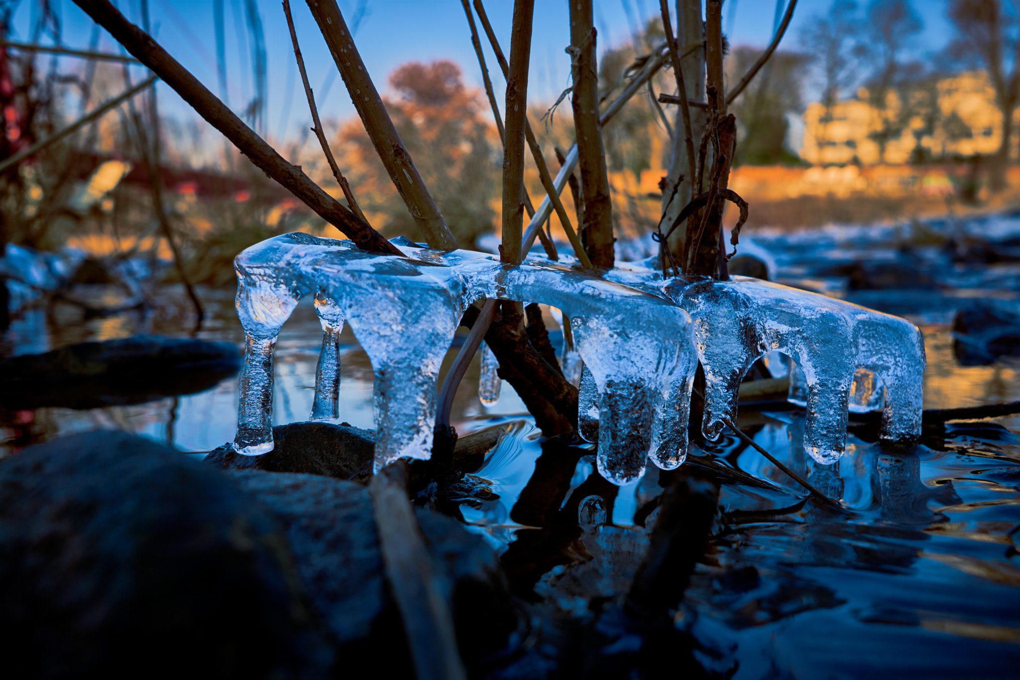 Sigma 19mm F2.8 EX DN sample photo. Ice 2 photography