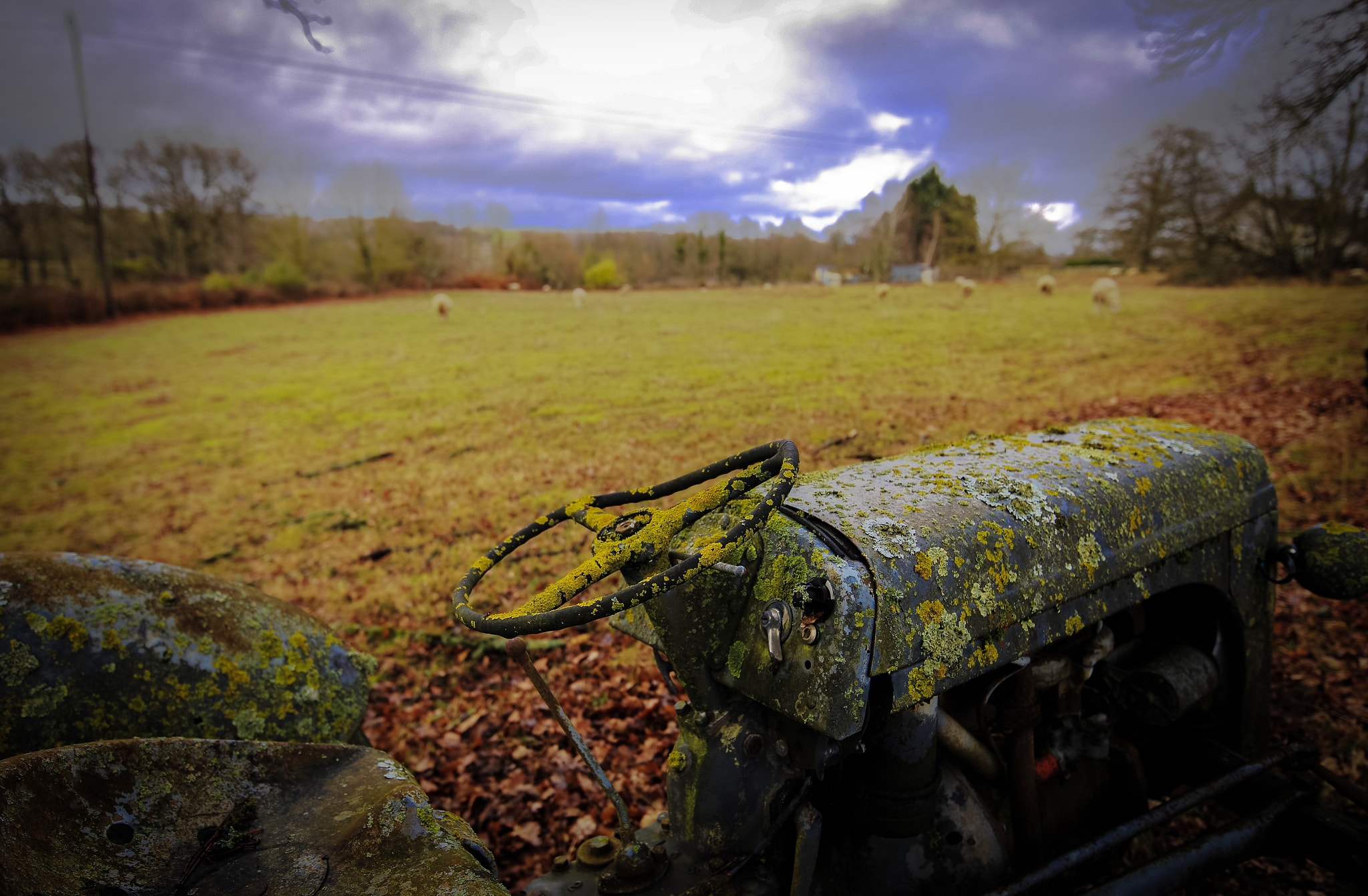 Canon EOS 6D + Canon EF 300mm f/2.8L sample photo. Rusty... photography