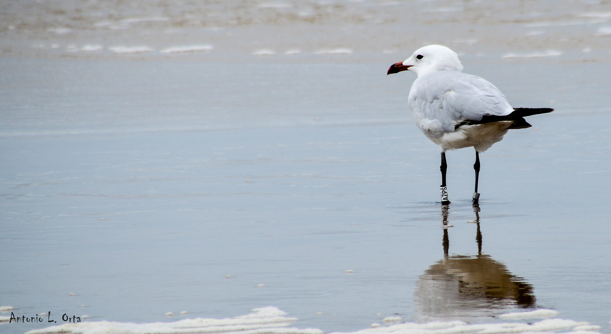 Nikon D3200 sample photo. Adouin photography