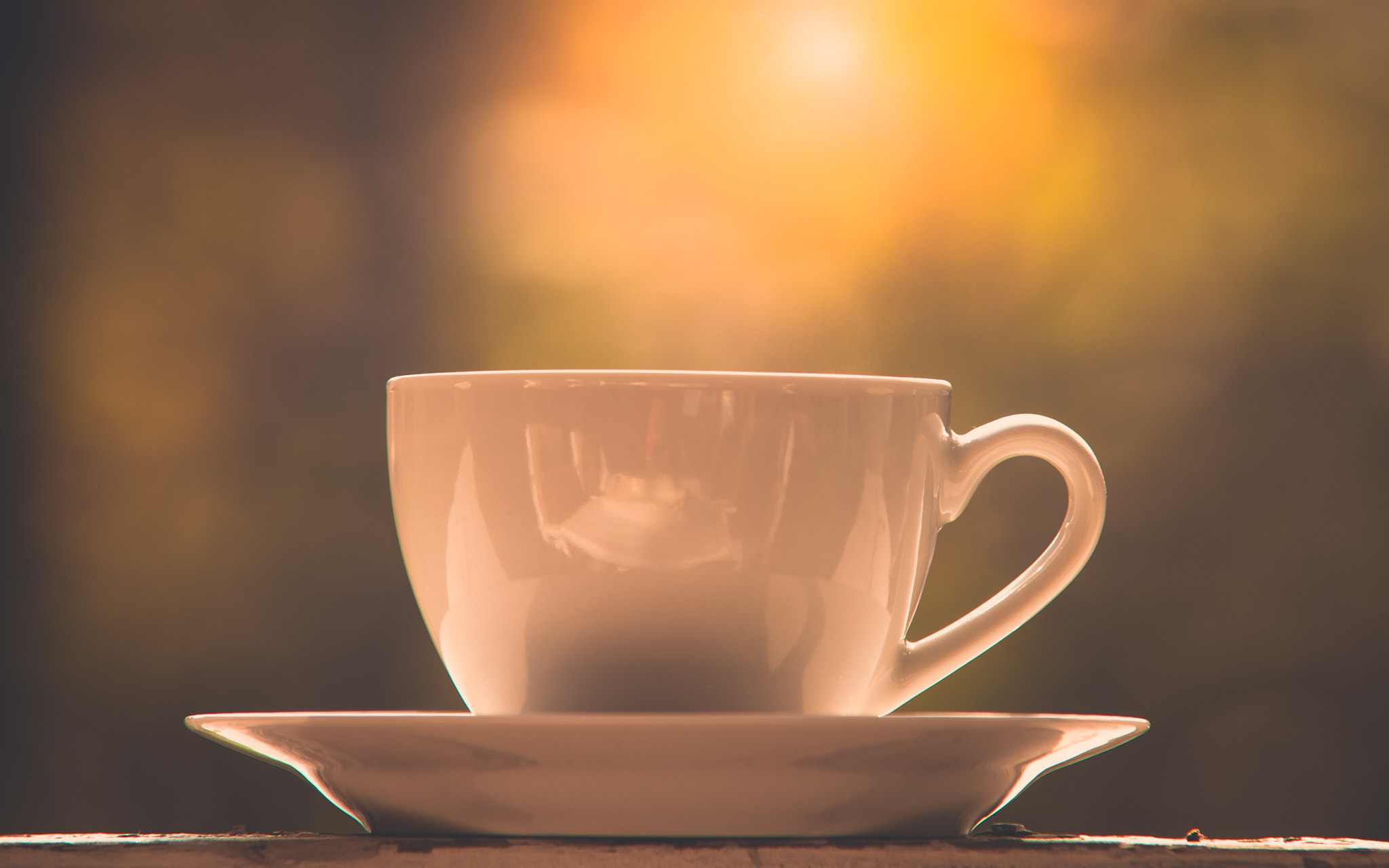 Sigma 70-200mm F2.8 EX DG Macro HSM II sample photo. Morning coffee photography