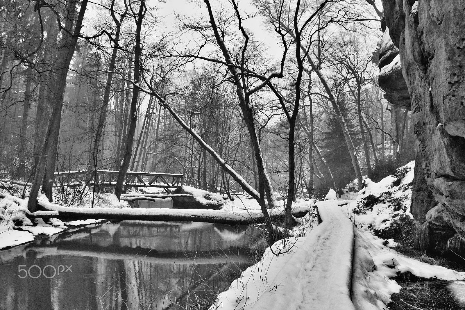 Nikon Coolpix P6000 sample photo. Winter in peklo valley in machuv kraj region in czech nature photography