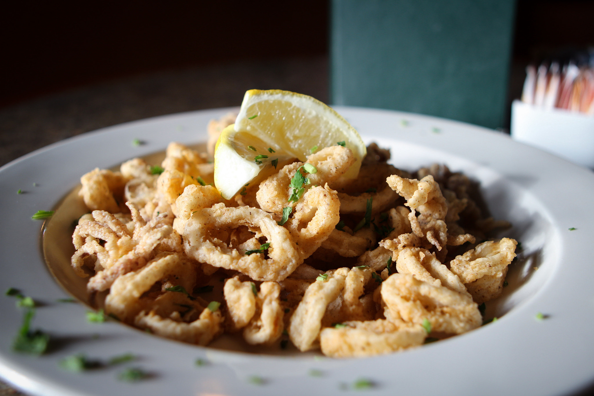Canon EF 24-70mm F2.8L USM sample photo. Calamari at the limerick pub photography