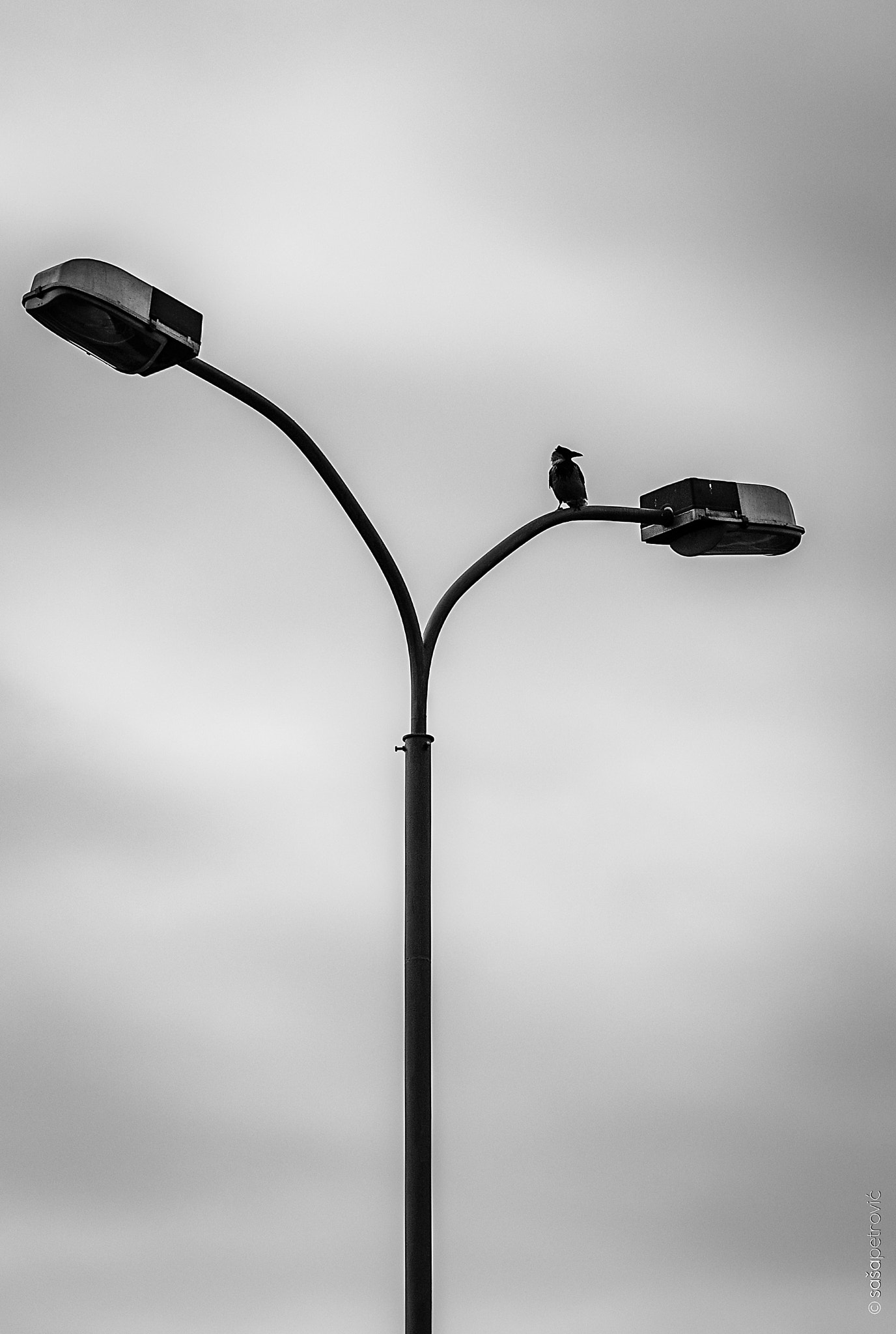 Canon EF 28-105mm f/3.5-4.5 USM sample photo. Simple as black and white photography