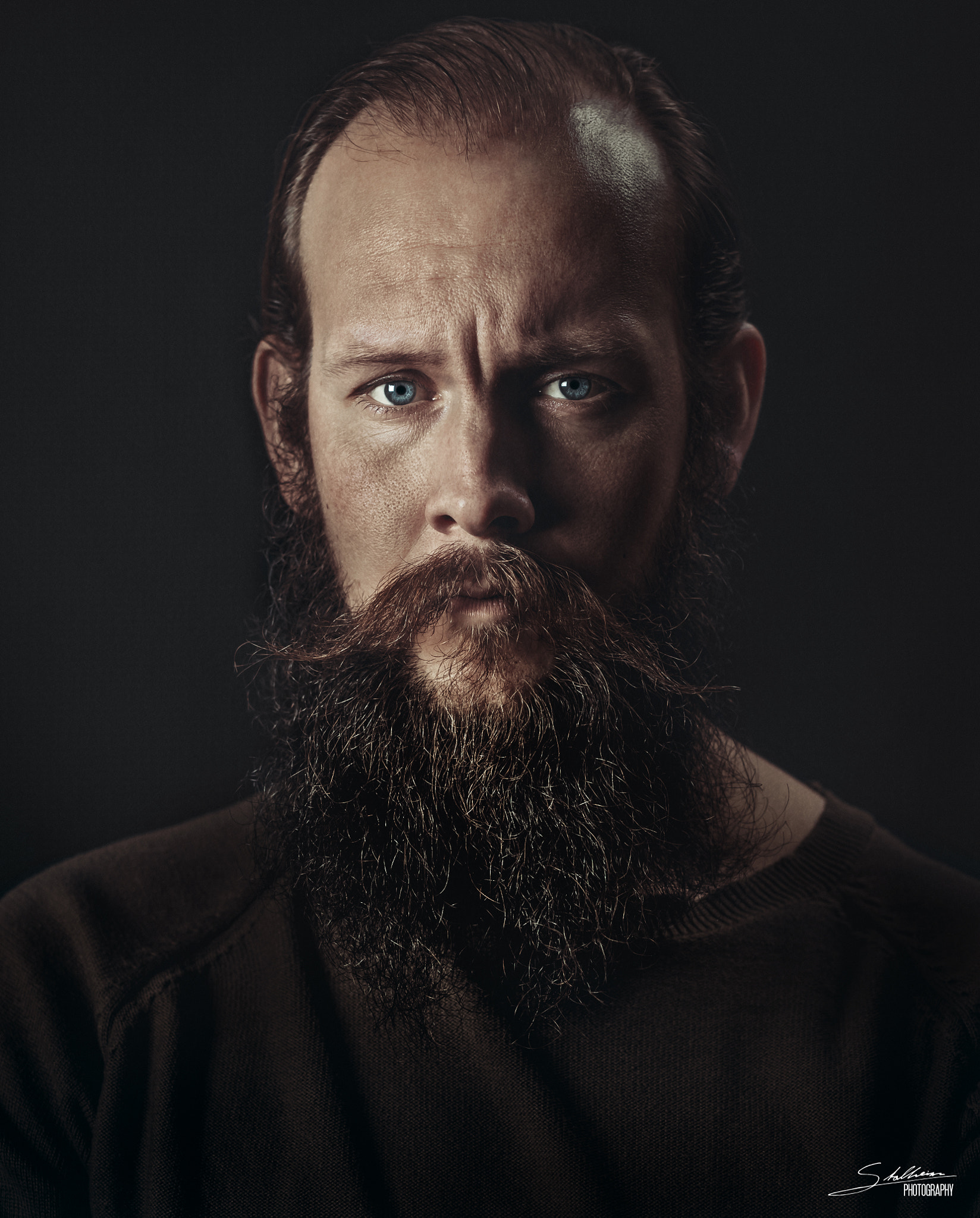Sigma 50mm F1.4 EX DG HSM sample photo. Viking #3 photography