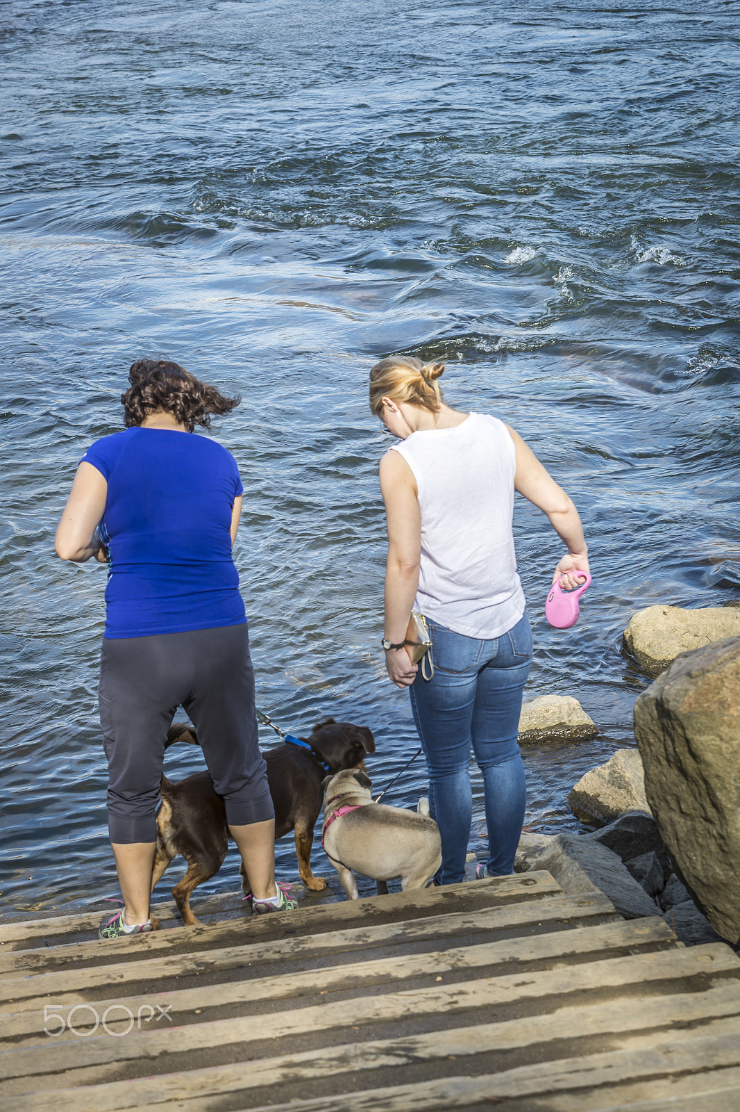 Canon EF 70-200mm F2.8L IS USM sample photo. Two females with two dogs v photography