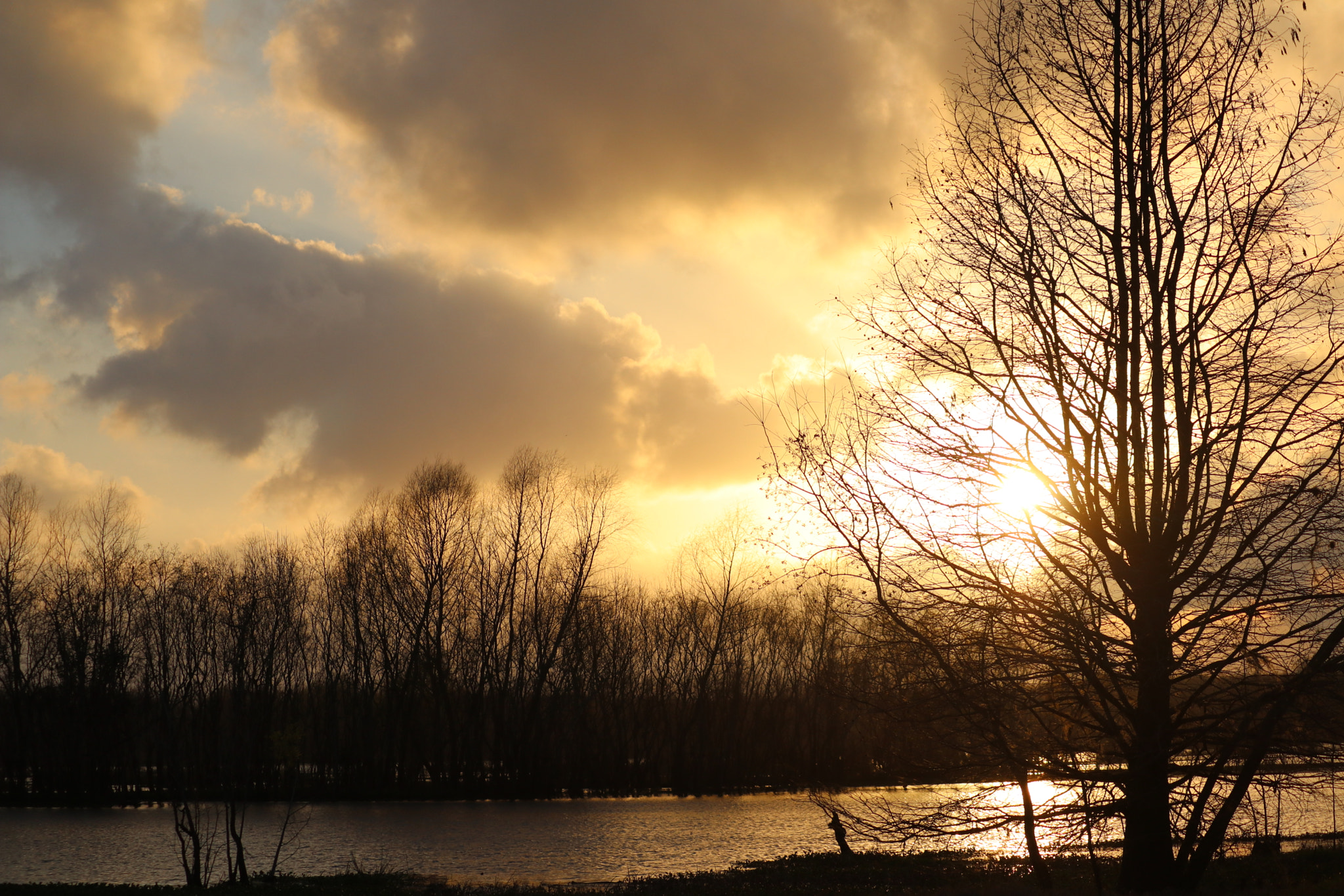Canon EF-S 55-250mm F4-5.6 IS II sample photo. Sunset at brazos bend state park photography