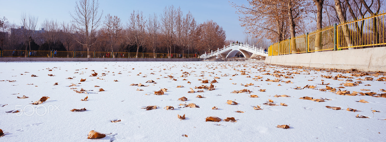 E 21mm F2.8 sample photo. Frozen pond photography