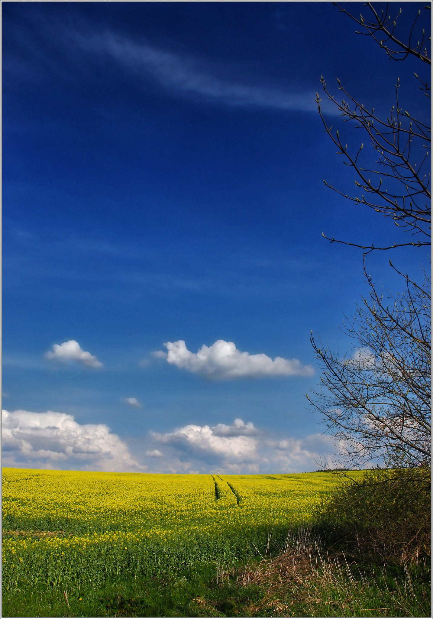 Sigma 18-200mm F3.5-6.3 DC OS HSM sample photo. Summer in blue + yellow photography