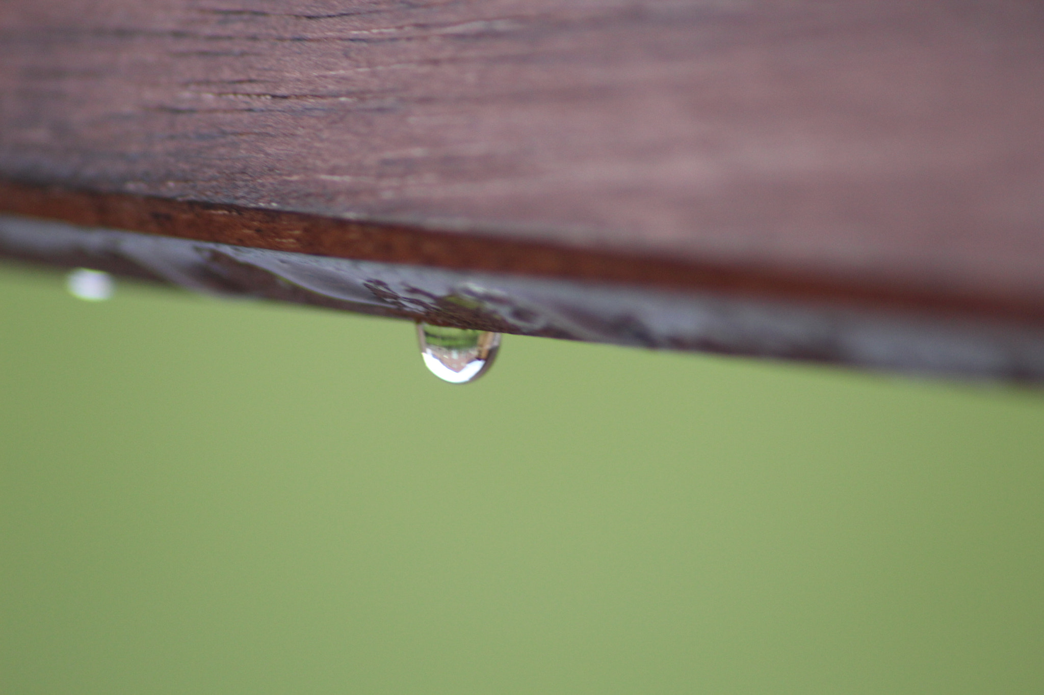 Canon EOS 1200D (EOS Rebel T5 / EOS Kiss X70 / EOS Hi) sample photo. Just one drop photography