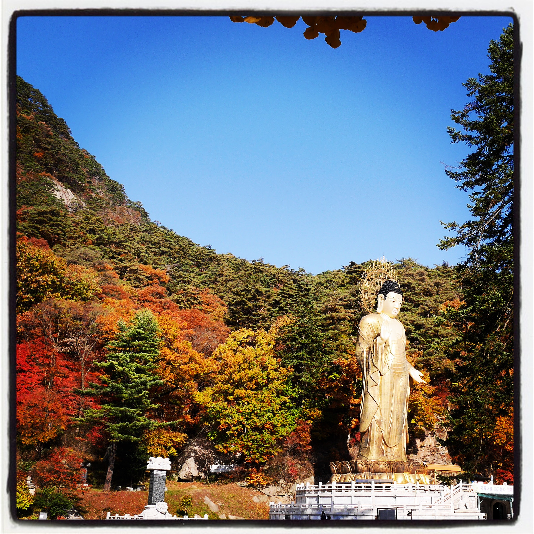 Panasonic Lumix DMC-GM1 sample photo. Autumn colors in south korea songnisan np photography