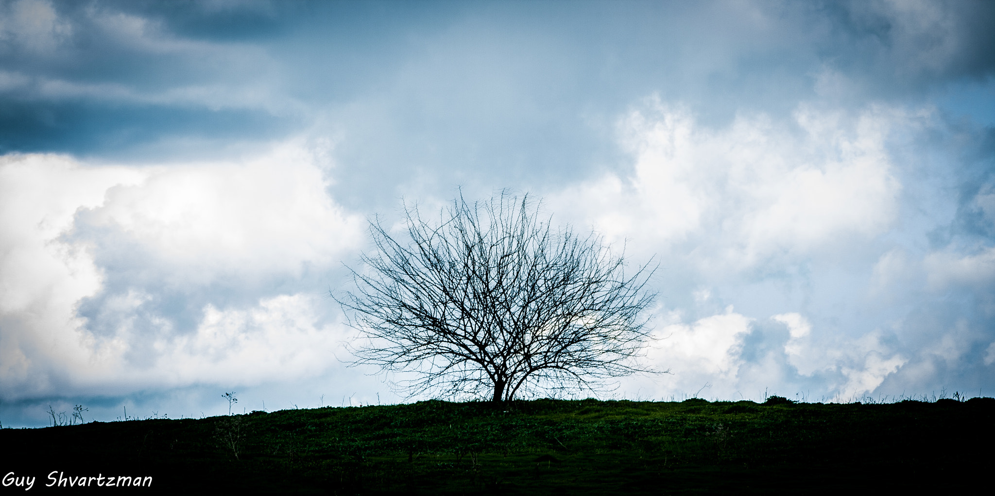 Canon EOS 400D (EOS Digital Rebel XTi / EOS Kiss Digital X) sample photo. Lonely tree photography