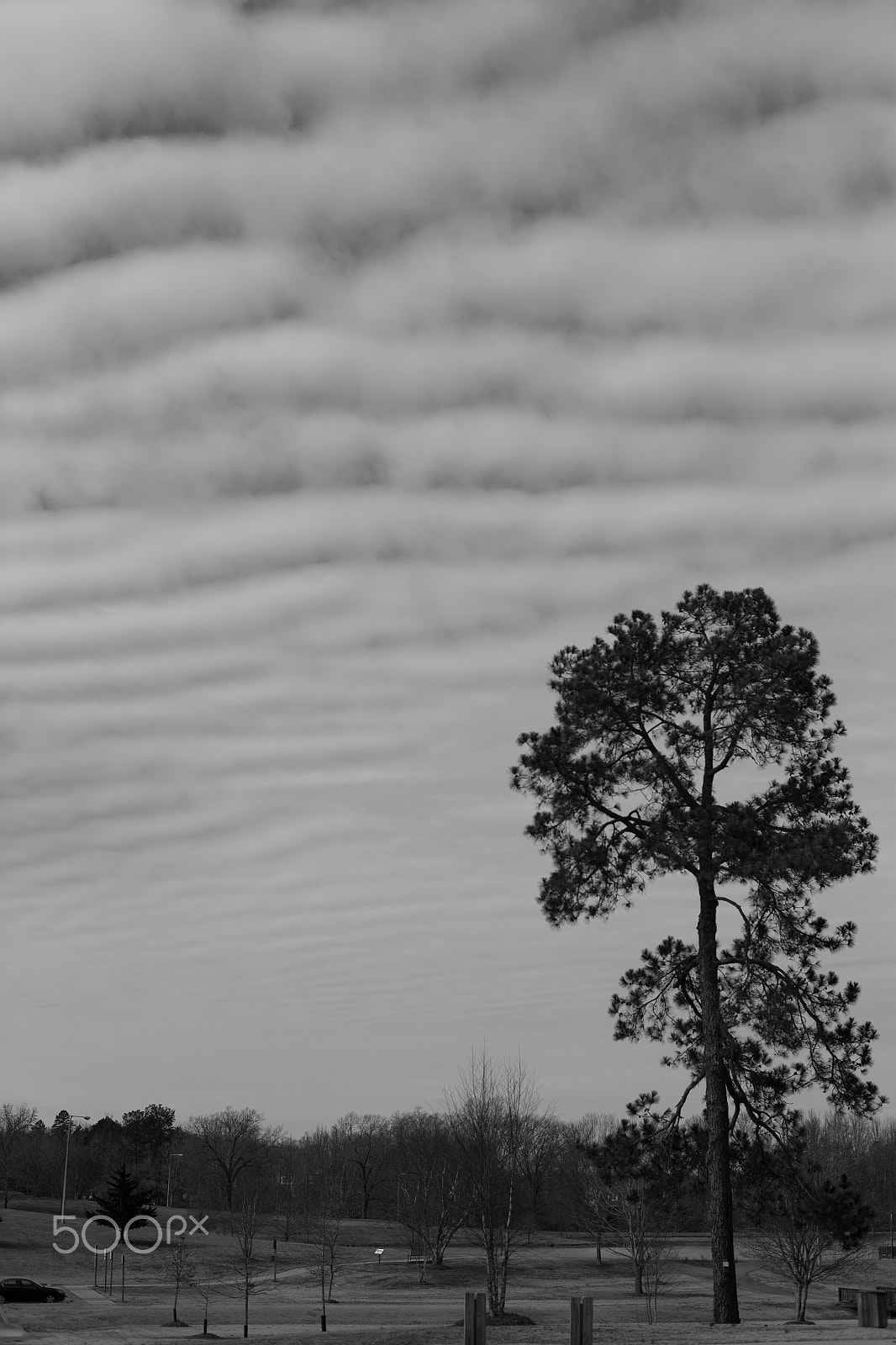 ZEISS Planar T* 50mm F1.4 sample photo. Oxford, mississippi photography