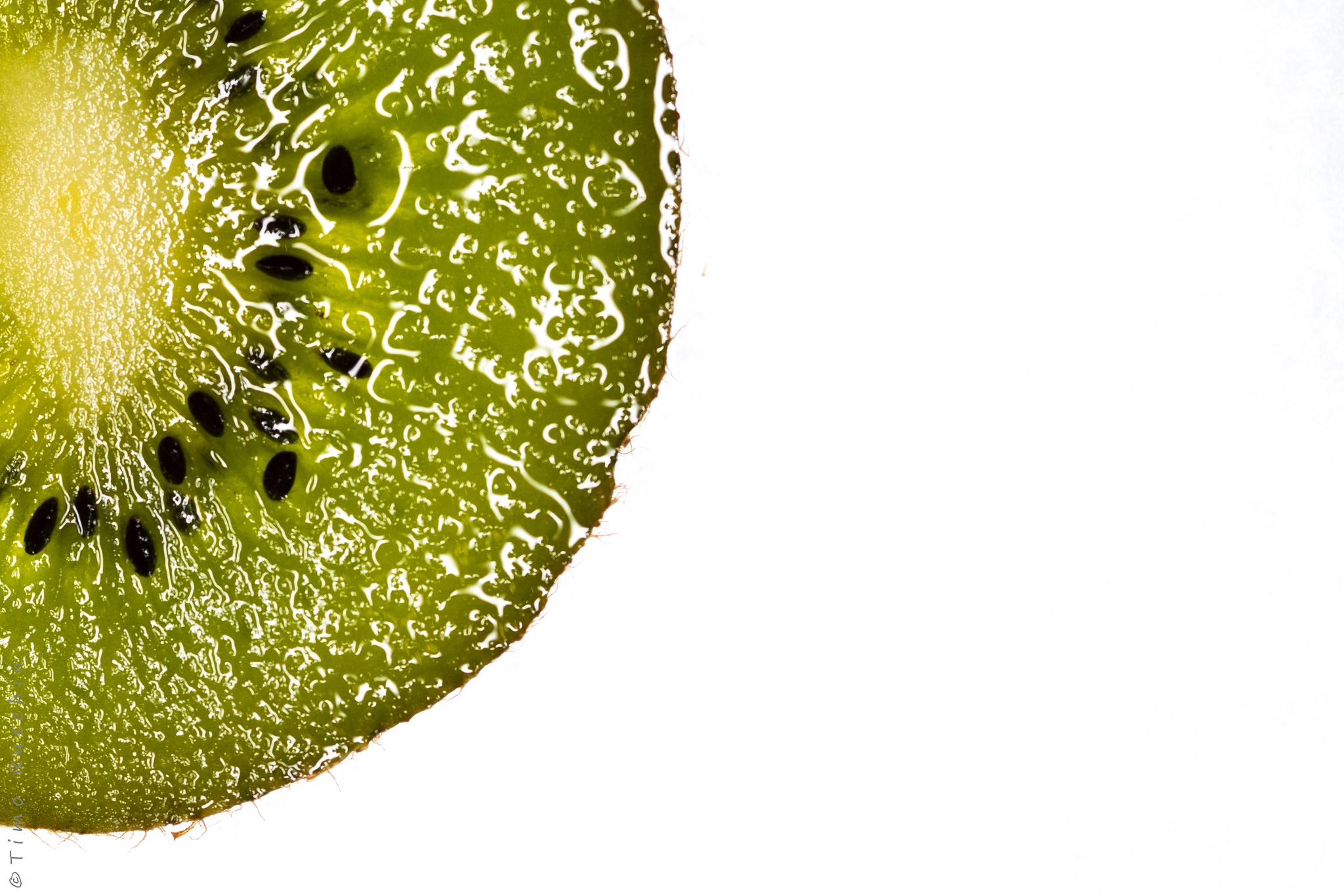 Canon EF 100mm F2.8 Macro USM sample photo. Kiwi photography