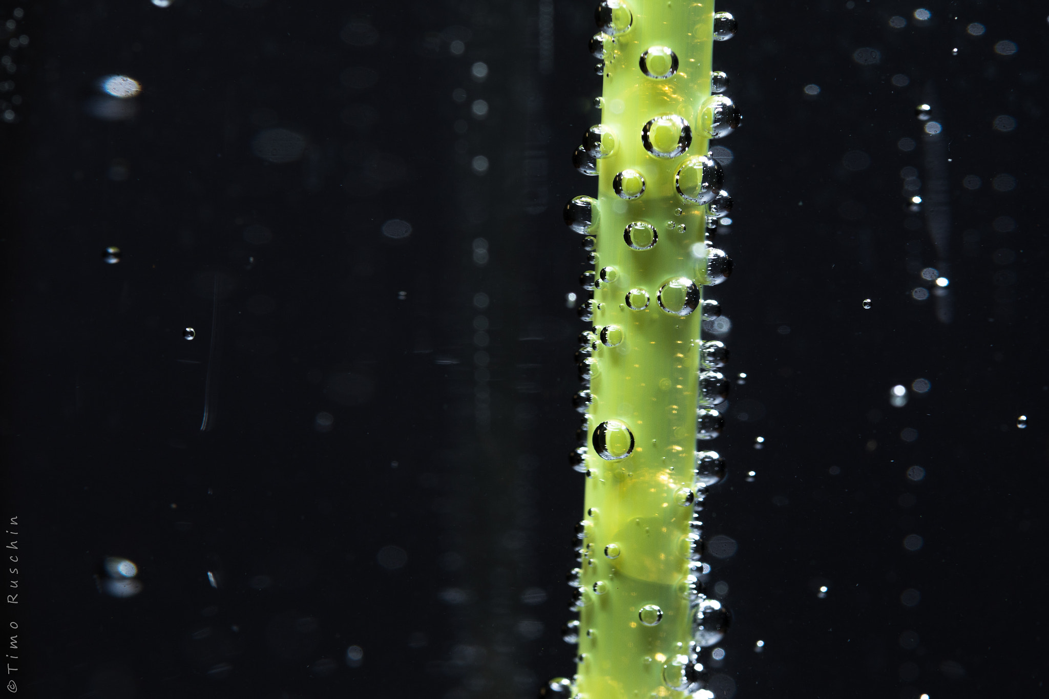 Canon EF 100mm F2.8 Macro USM sample photo. Straw photography
