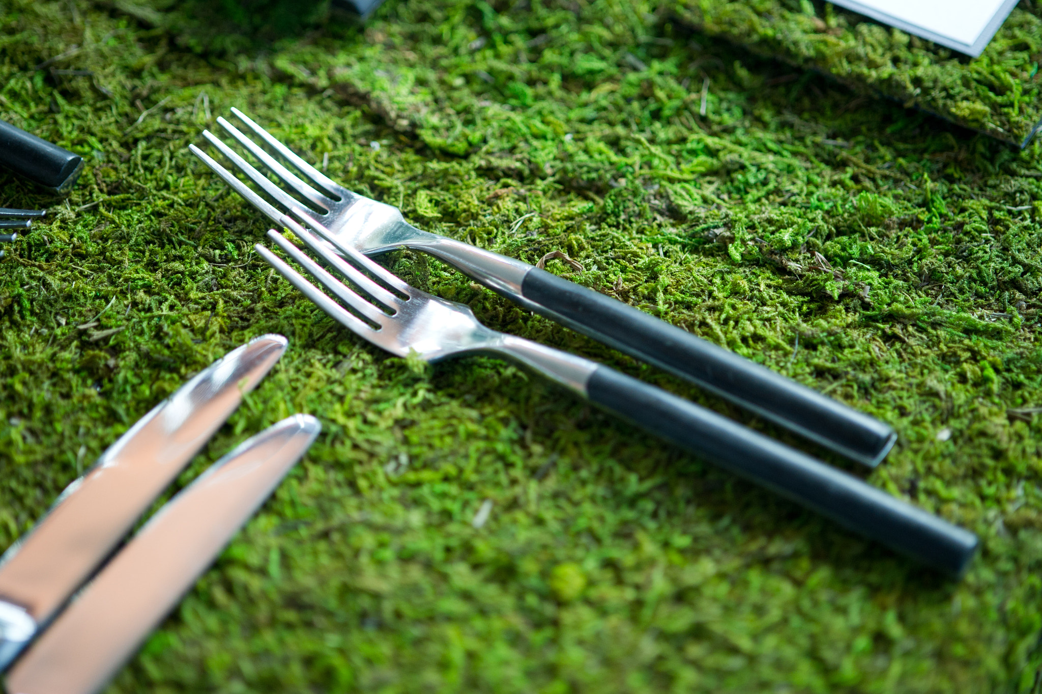 Nikon D3S sample photo. Silverware at a place setting photography