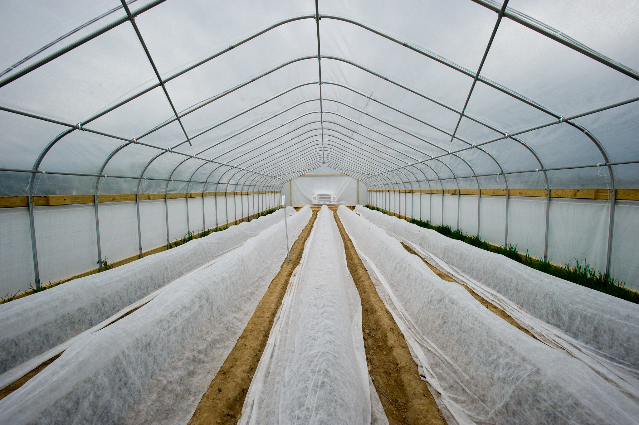 Nikon D3S + Nikon AF-S Nikkor 17-35mm F2.8D ED-IF sample photo. Rows of crops in a greenhouse photography