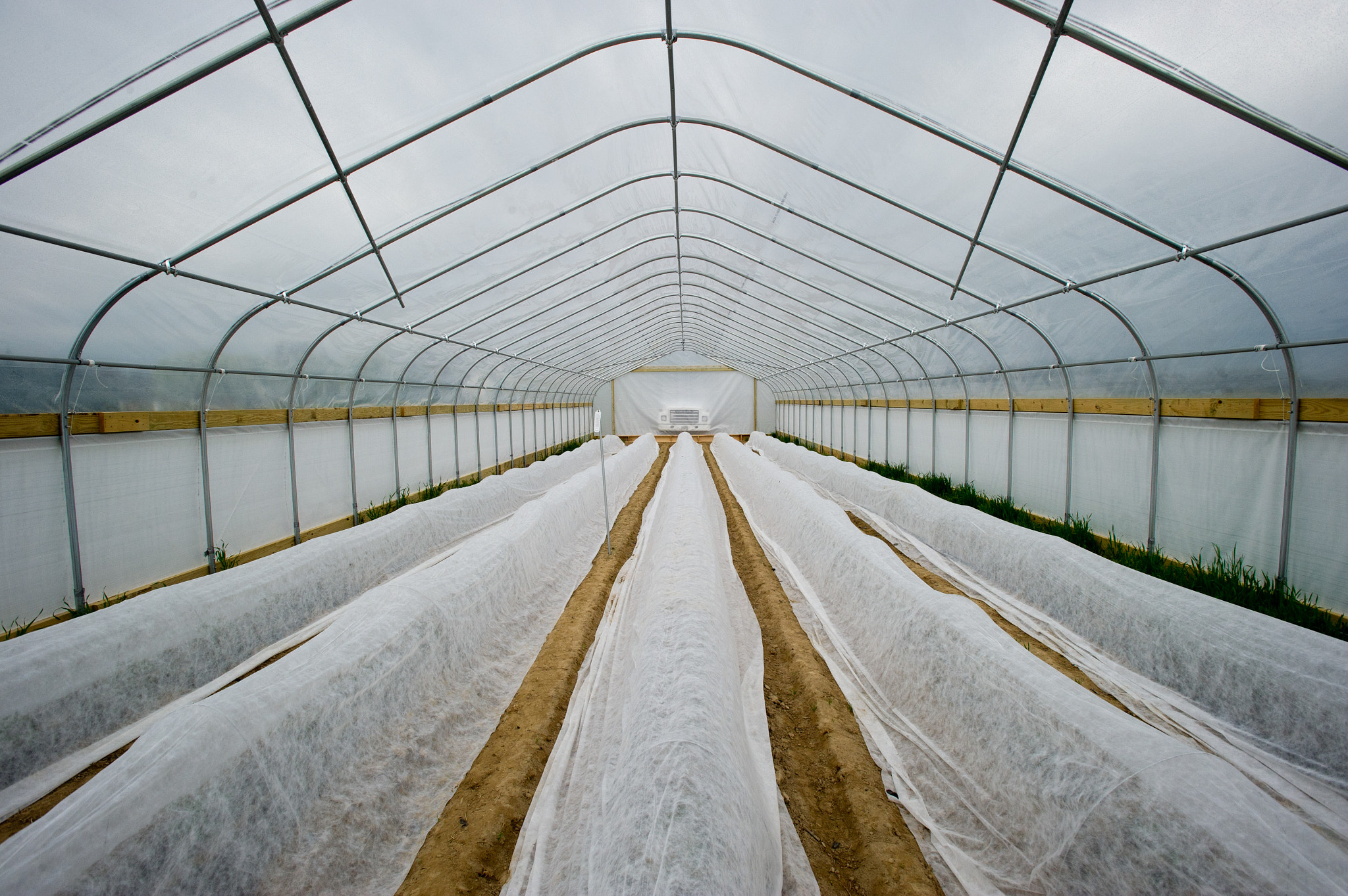 Nikon AF-S Nikkor 17-35mm F2.8D ED-IF sample photo. Rows of crops in a greenhouse photography