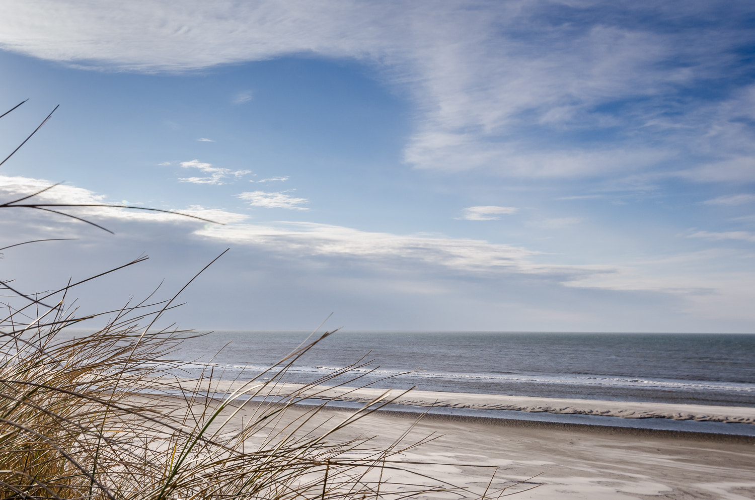Tokina AT-X Pro 12-24mm F4 (IF) DX sample photo. The beach photography