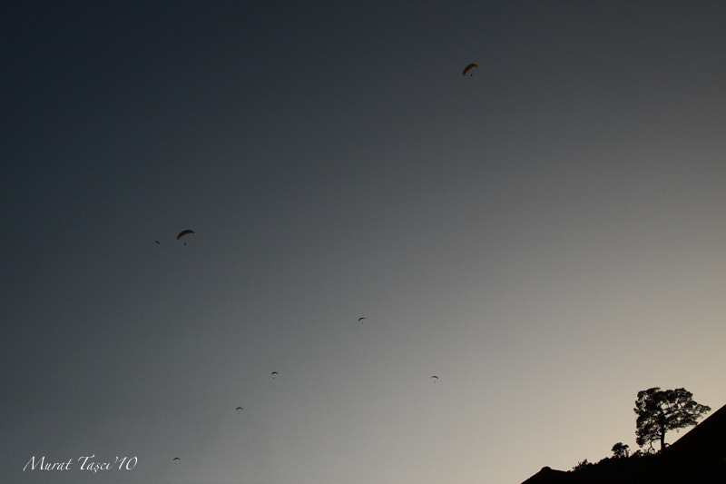 Canon EOS 50D sample photo. Paragliding photography