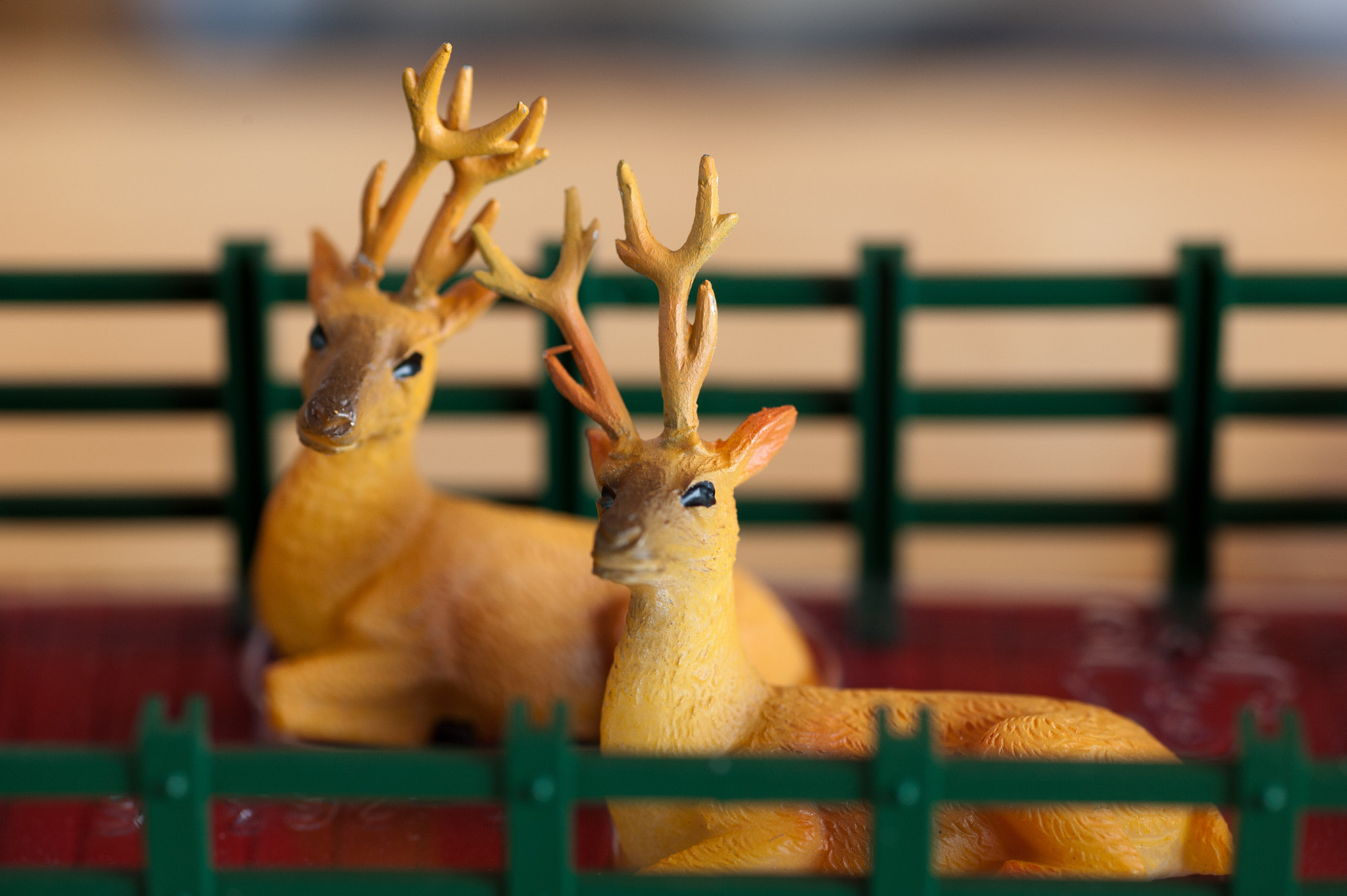 ZEISS Makro-Planar T* 100mm F2 sample photo. Miniature reindeer in a train garden photography