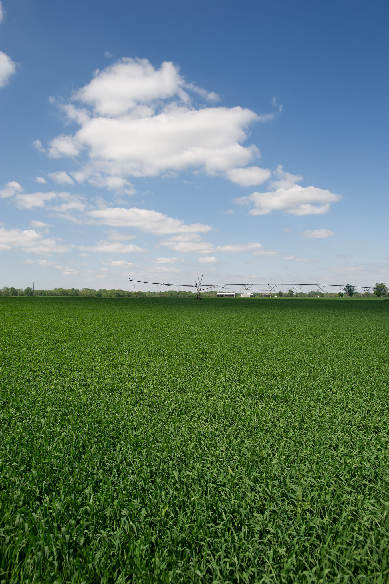 Nikon AF-S Nikkor 17-35mm F2.8D ED-IF sample photo. Irrigation in field of crop on farm photography