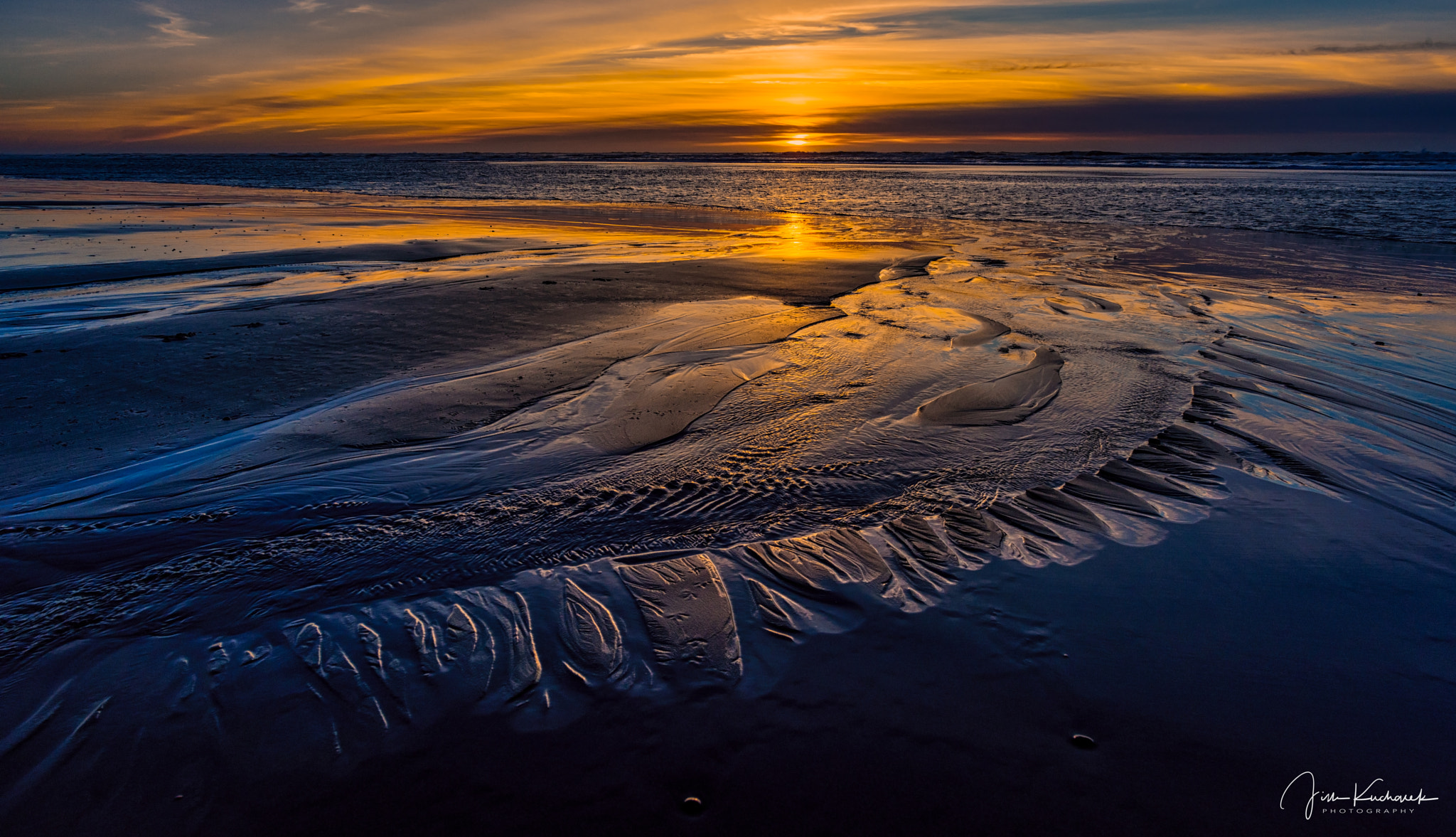 Nikon D810 + Nikon AF-S Nikkor 20mm F1.8G ED sample photo. Sand dragon photography