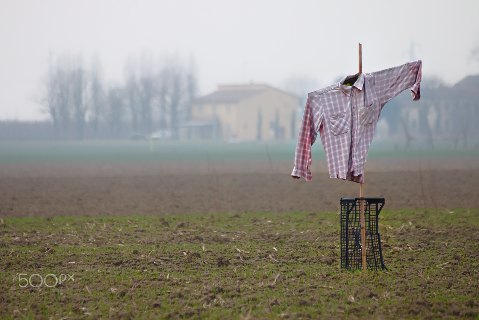 Tamron SP 35mm F1.8 Di VC USD sample photo. The hard country life photography