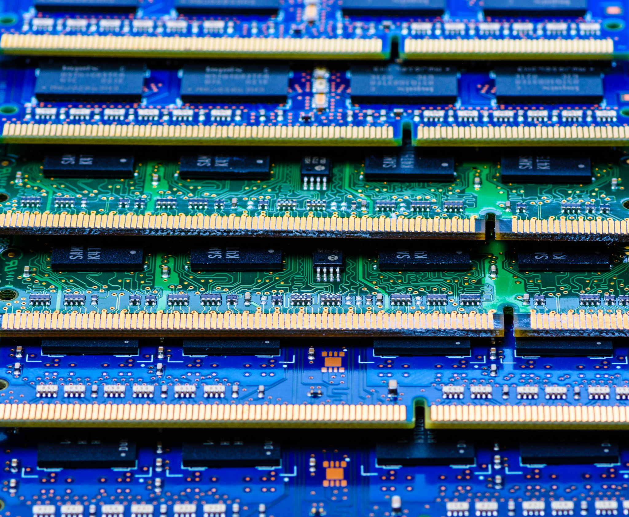 Tokina AT-X Pro 100mm F2.8 Macro sample photo. Vibrant memory photography
