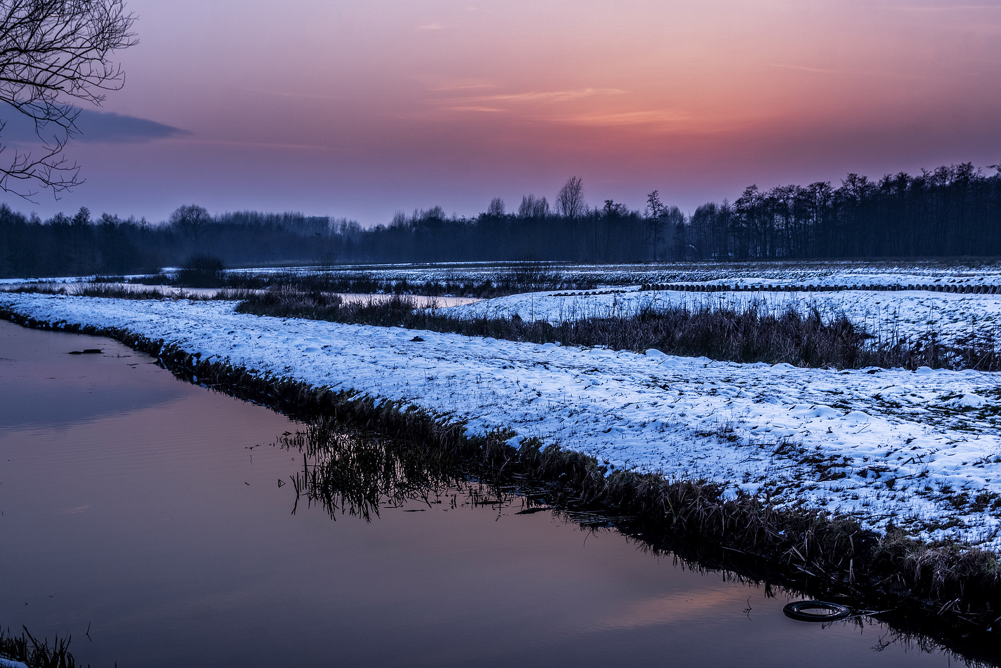 Sony ILCA-77M2 + 17-50mm F2.8 sample photo. Winter in groenekan photography