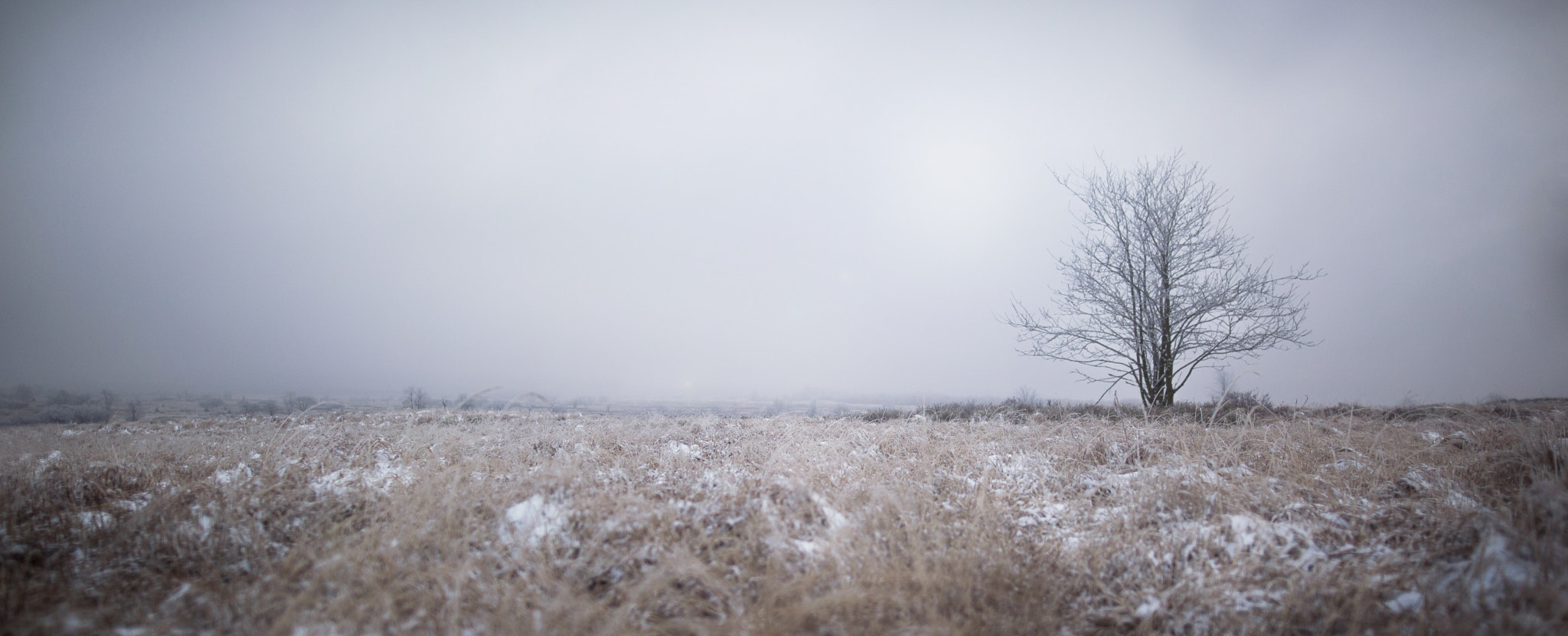 Sigma 24mm F1.4 DG HSM Art sample photo. Des hautes fagnes photography