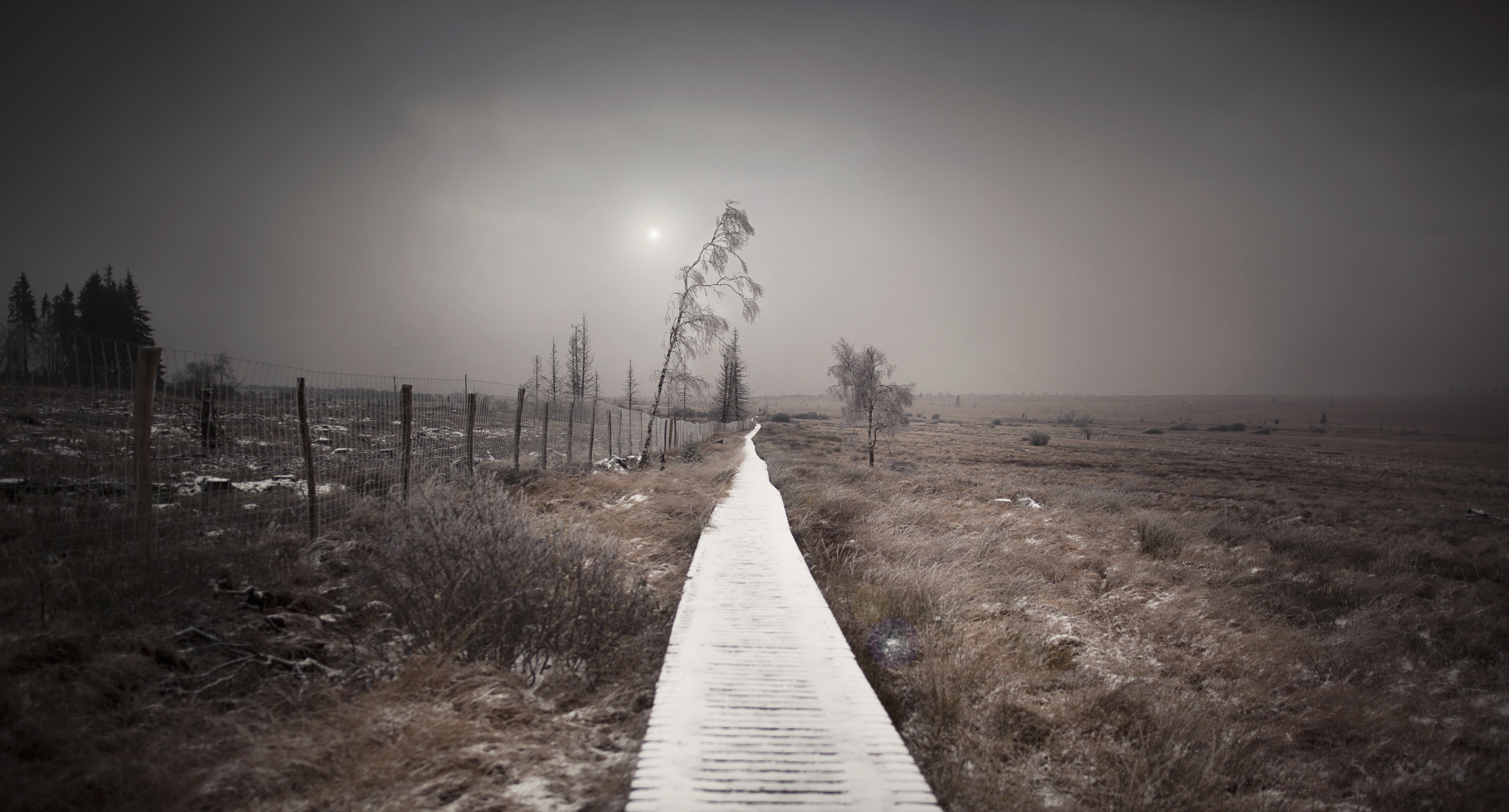 Sigma 24mm F1.4 DG HSM Art sample photo. Des hautes fagnes photography