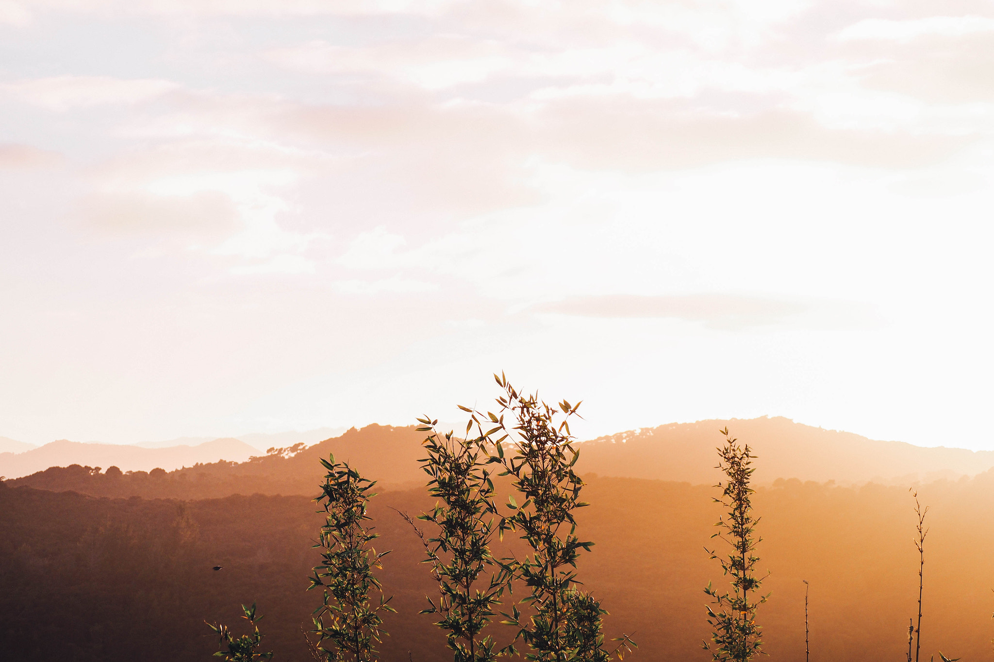 Olympus OM-D E-M1 sample photo. Paihia sunrise photography