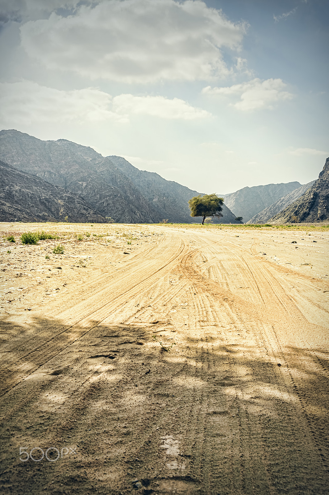 Nikon D7200 + Sigma 18-250mm F3.5-6.3 DC OS HSM sample photo. That lines to that lonely tree in amazing nature photography