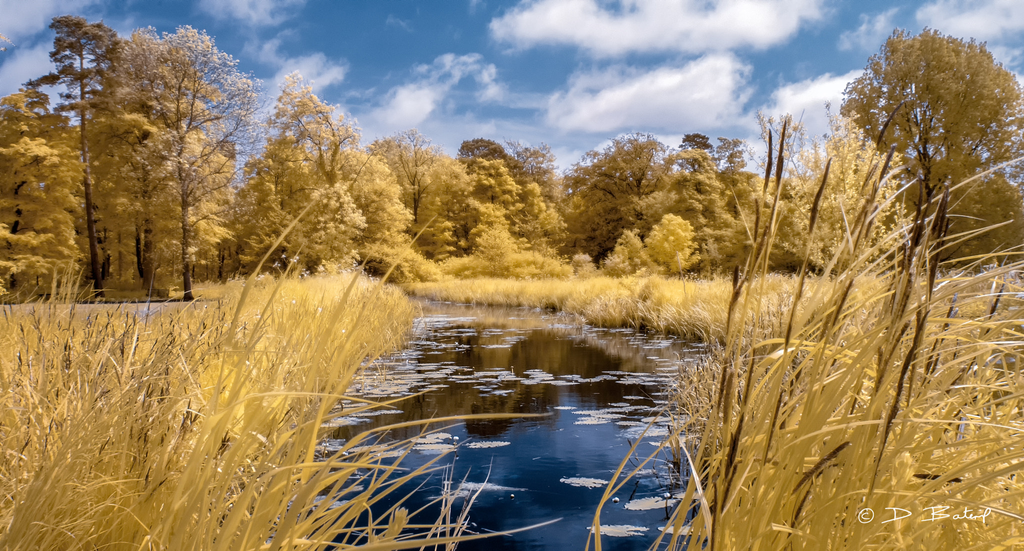 Nikon D80 sample photo. Summer warmth photography