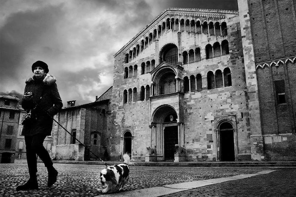 Canon EF-S 18-55mm F3.5-5.6 IS sample photo. Parma photography