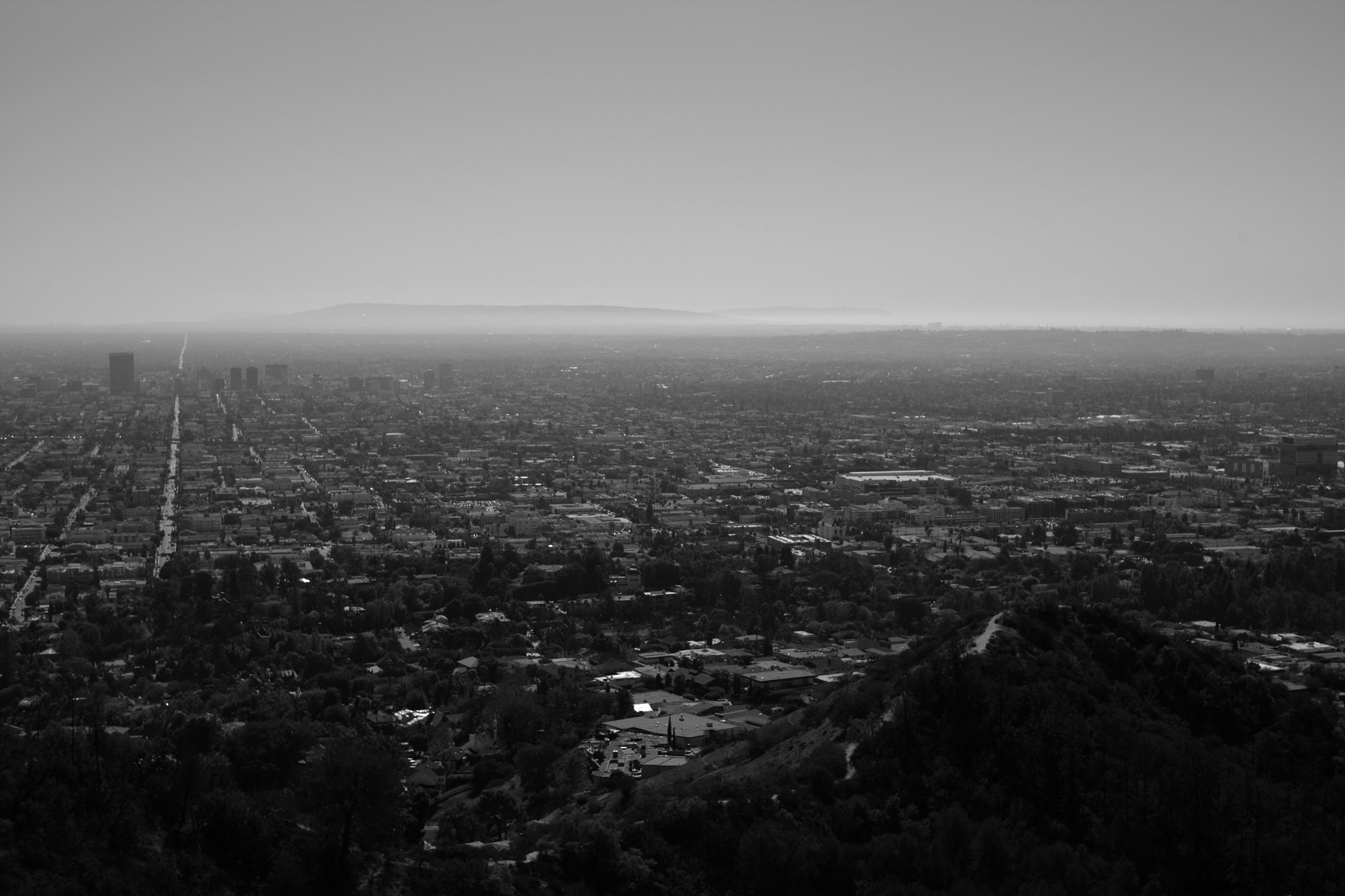 Leica Summilux-M 50mm F1.4 ASPH sample photo. Los angeles photography