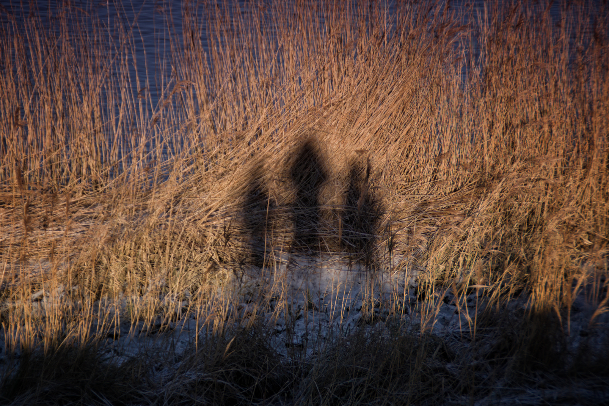 Tamron AF 18-200mm F3.5-6.3 XR Di II LD Aspherical (IF) Macro sample photo. Schatten - shadows photography
