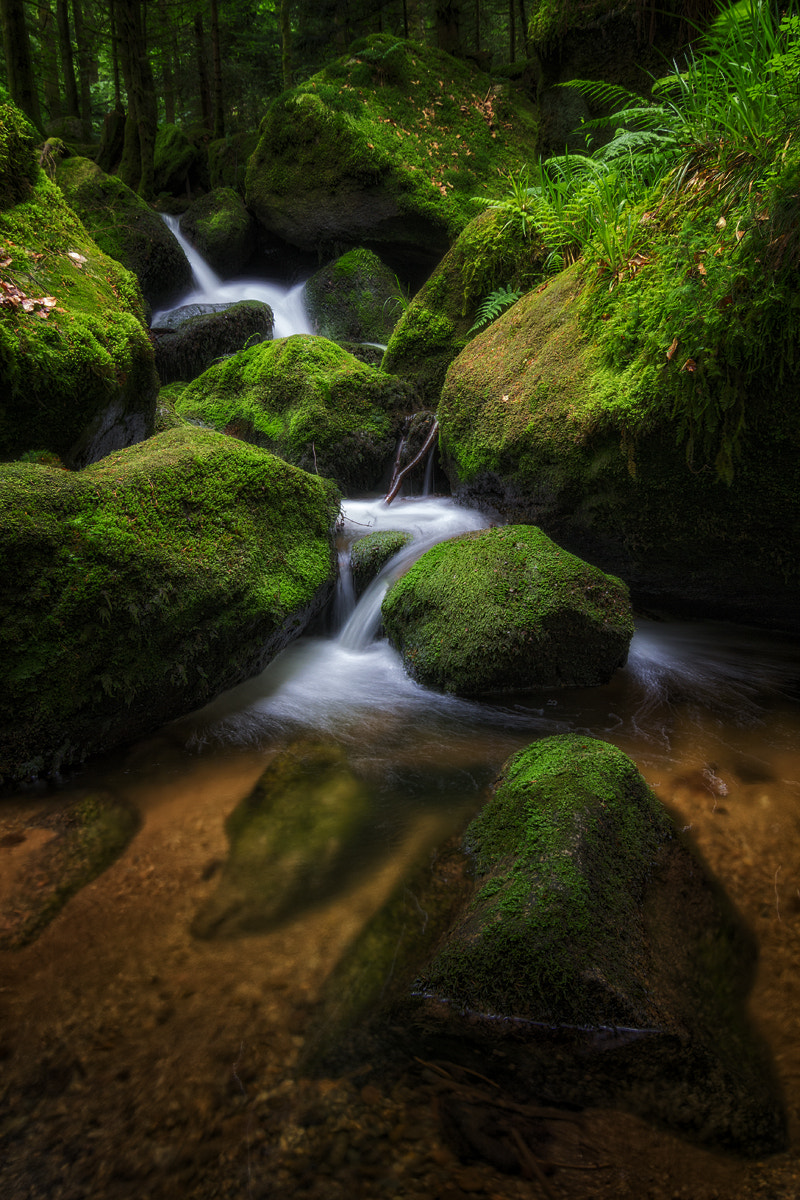 Canon EOS 60D + Tokina AT-X Pro 12-24mm F4 (IF) DX sample photo. Fairy waterfalls photography