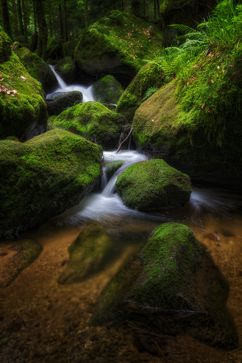 Tokina AT-X Pro 12-24mm F4 (IF) DX sample photo. Fairy waterfalls photography