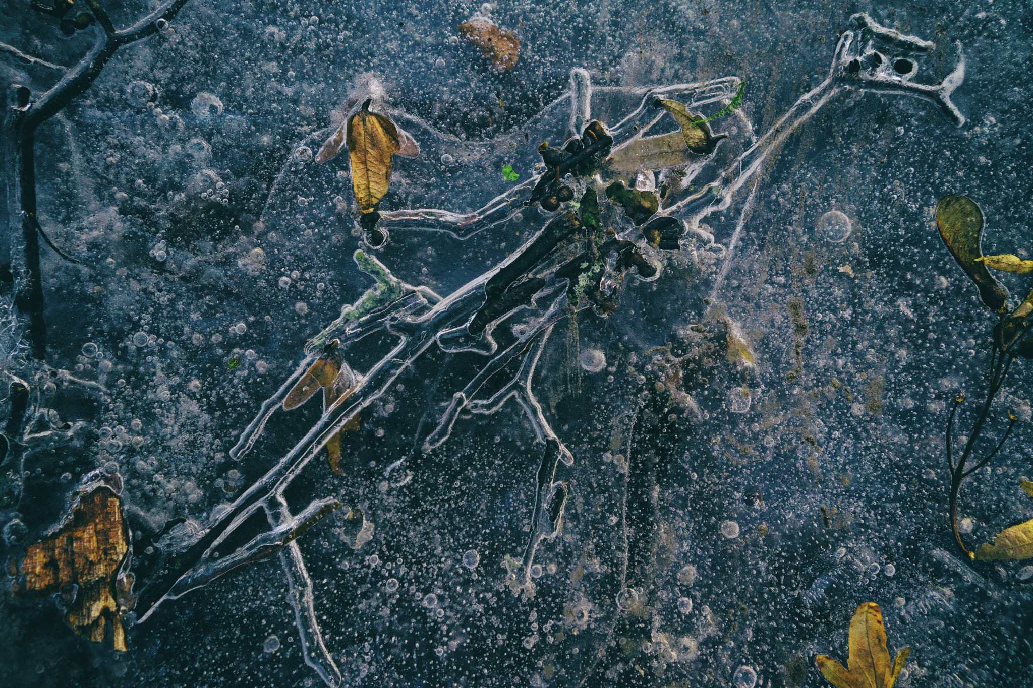 Sony a7 + Sony FE 28mm F2 sample photo. Frozen nature photography