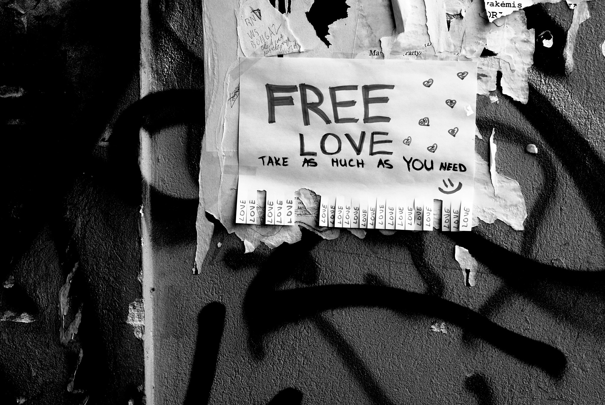 Nikon D80 + Nikon AF Nikkor 50mm F1.8D sample photo. Free love photography