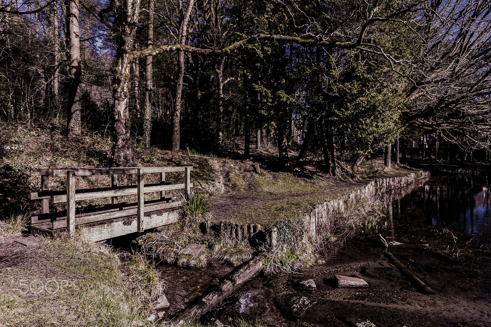 Sigma 10-20mm F4-5.6 EX DC HSM sample photo. By the lake photography