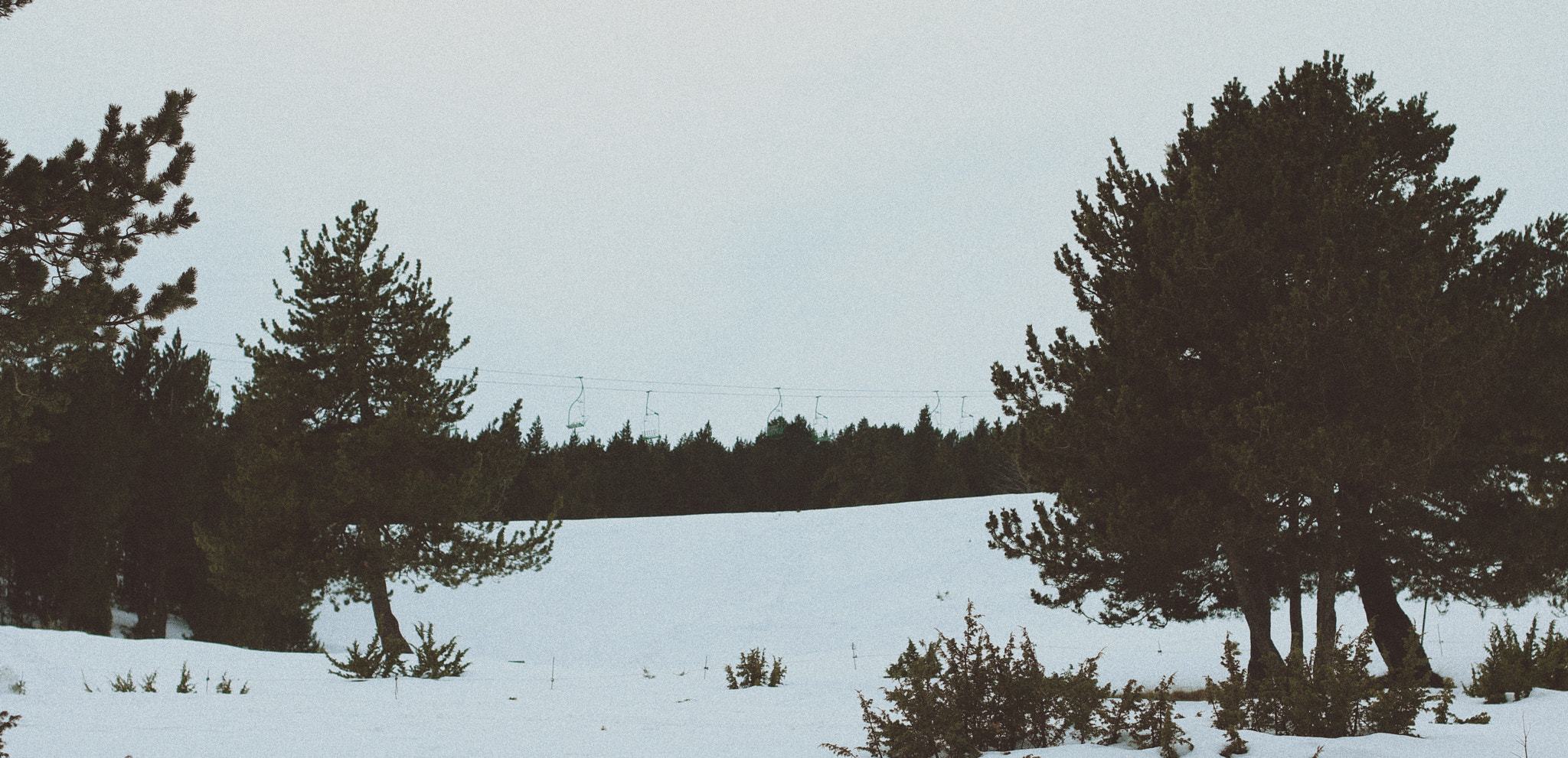 Canon EOS 760D (EOS Rebel T6s / EOS 8000D) + Canon EF 50mm F1.4 USM sample photo. Snow photography